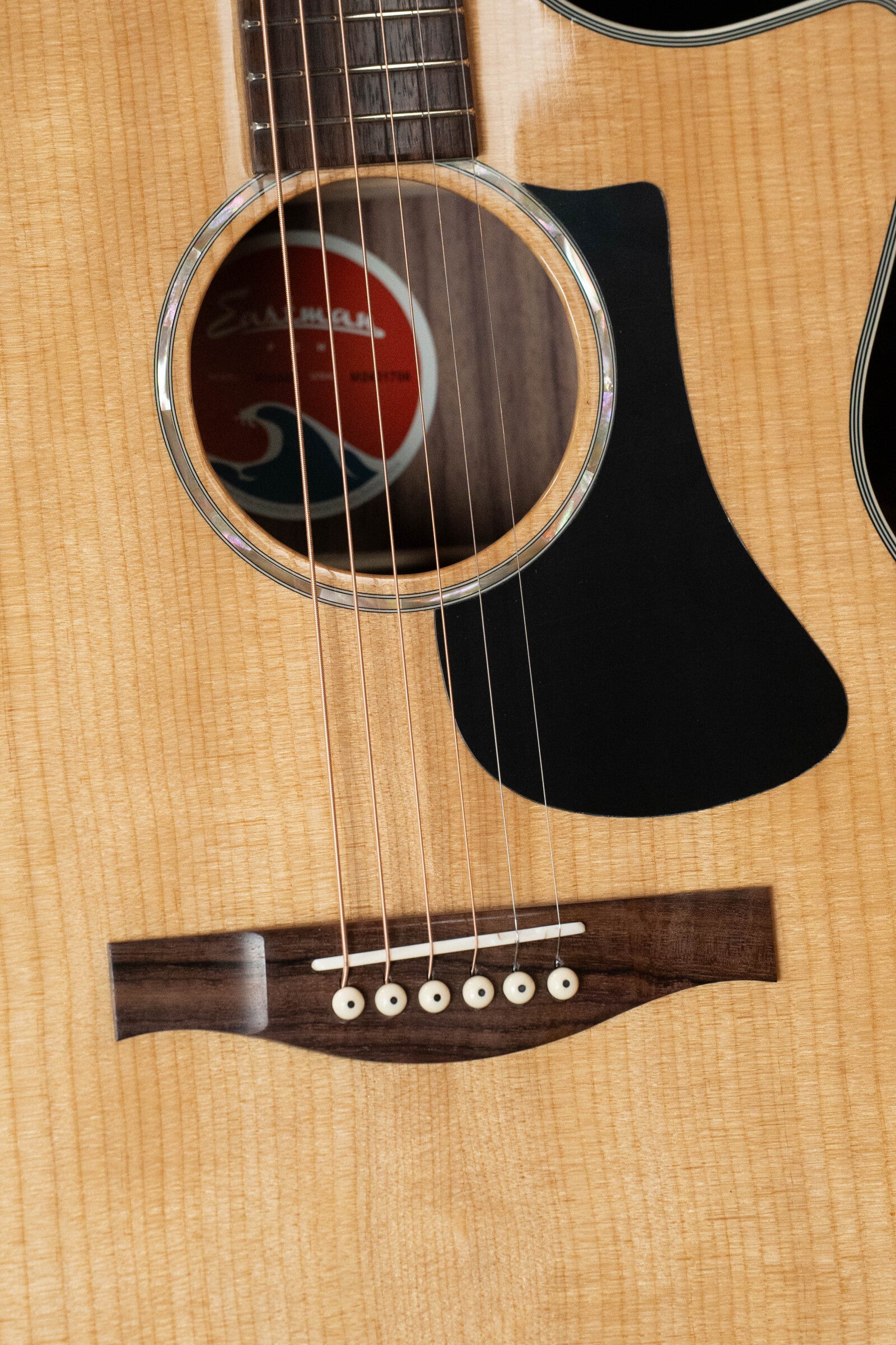 Eastman PCH2-GACE Solid Thermo-Cured Sitka/Laminated Rosewood Grand Auditorium Cutaway Guitar w/Fishman Pickup #1706