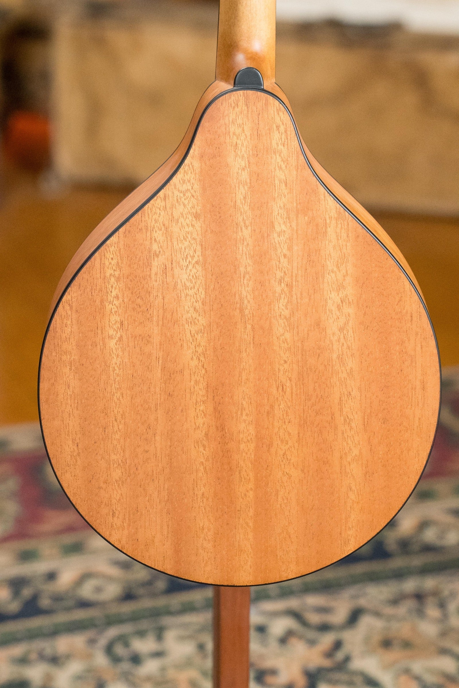 Eastman PCH-M104-NAT Spruce/Laminated Mahogany Natural Flattop A-Style Mandolin #1177