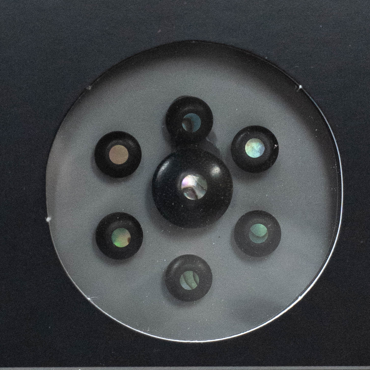 D'Addario Ebony Bridge Pins w/End Pin Set - Abalone Inlay