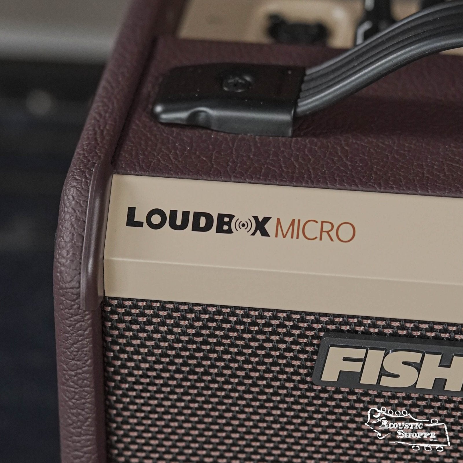 Fishman LOUDBOX Micro Acoustic Instrument Amplifier PRO-LBT-400