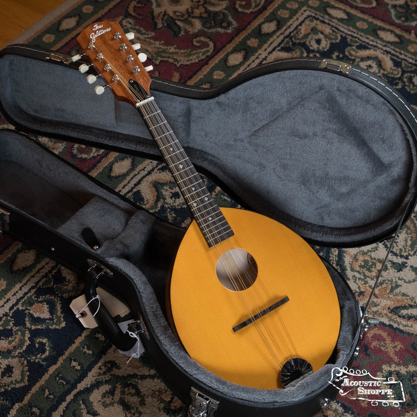 (Floor Model) Gold Tone GM-10 Frypan Mandolin #8115