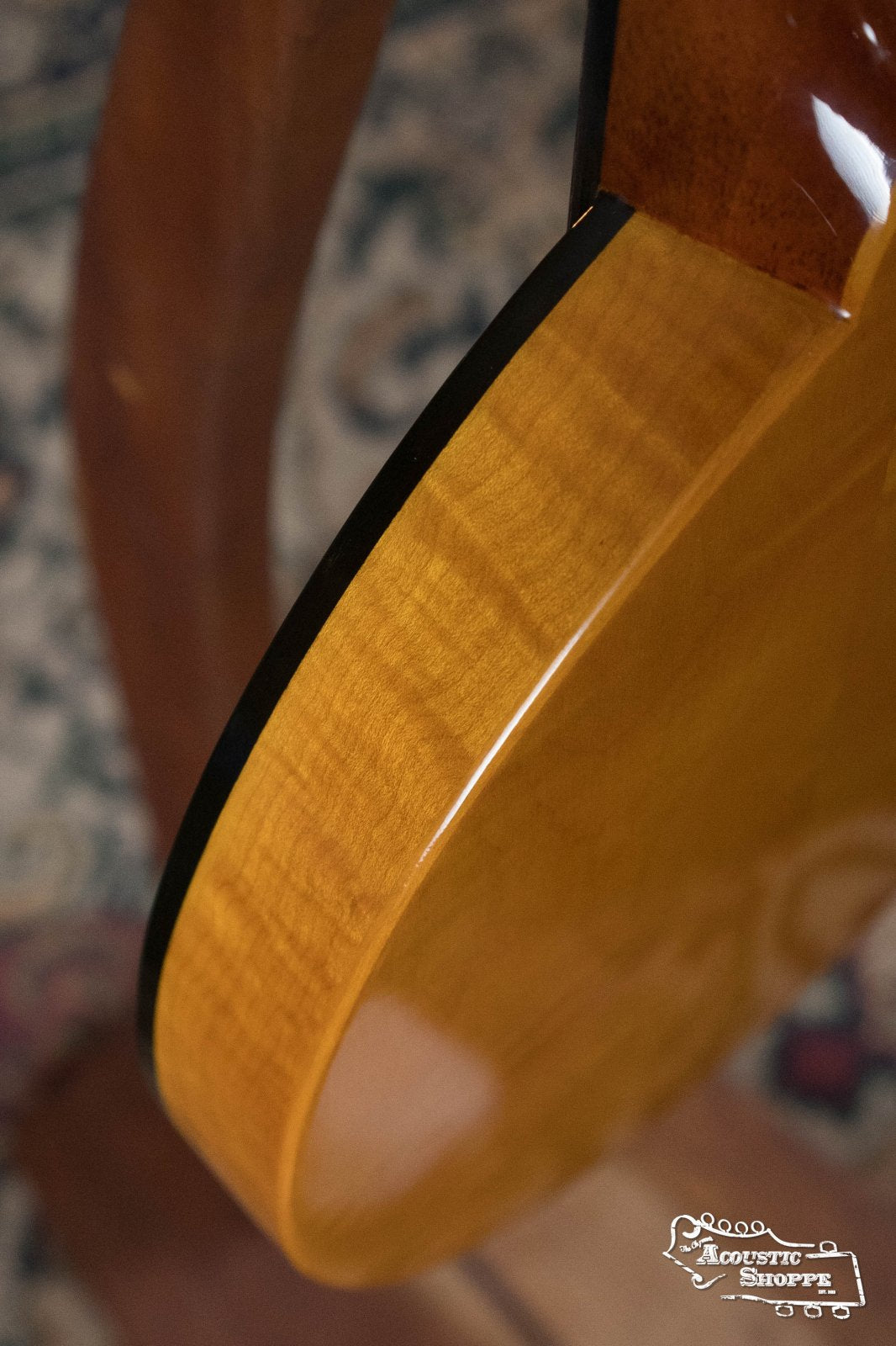 (Floor Model) Gold Tone GM-10 Frypan Mandolin #8115
