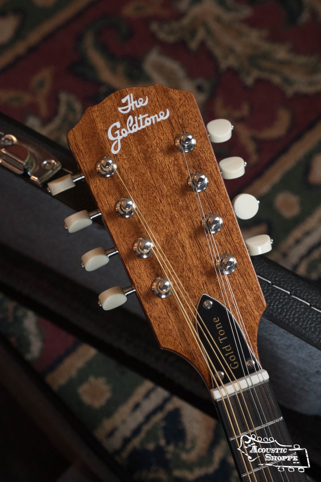 (Floor Model) Gold Tone GM-10 Frypan Mandolin #8115