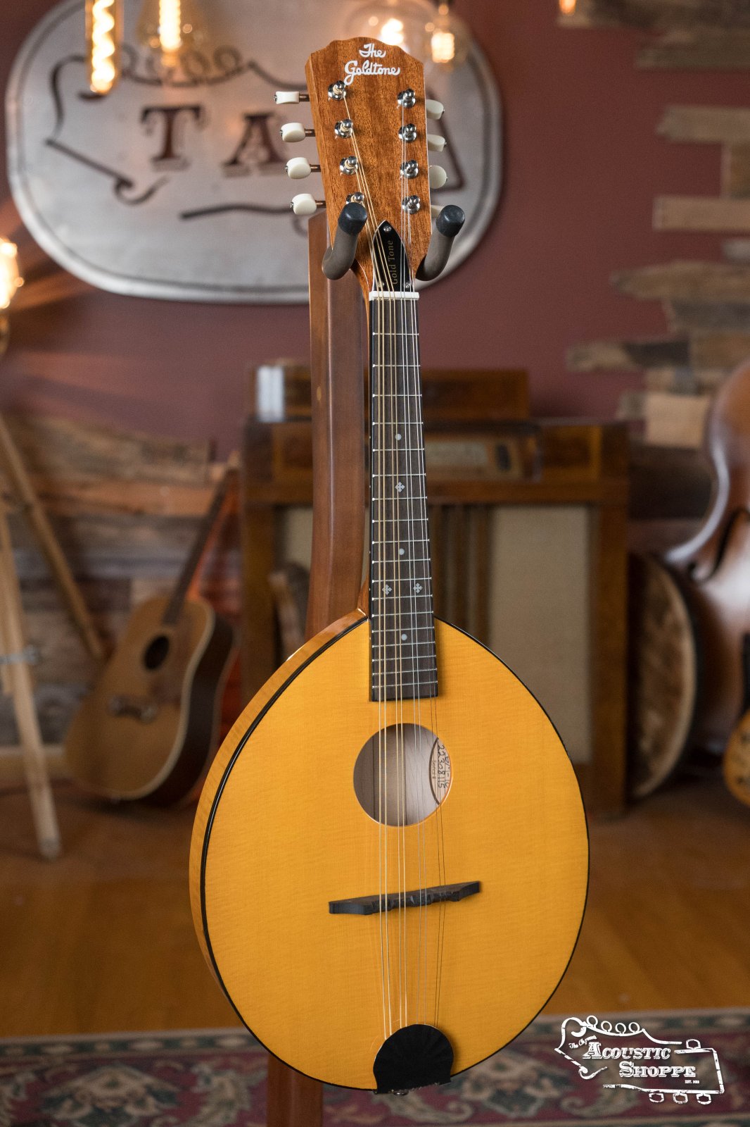 (Floor Model) Gold Tone GM-10 Frypan Mandolin #8115