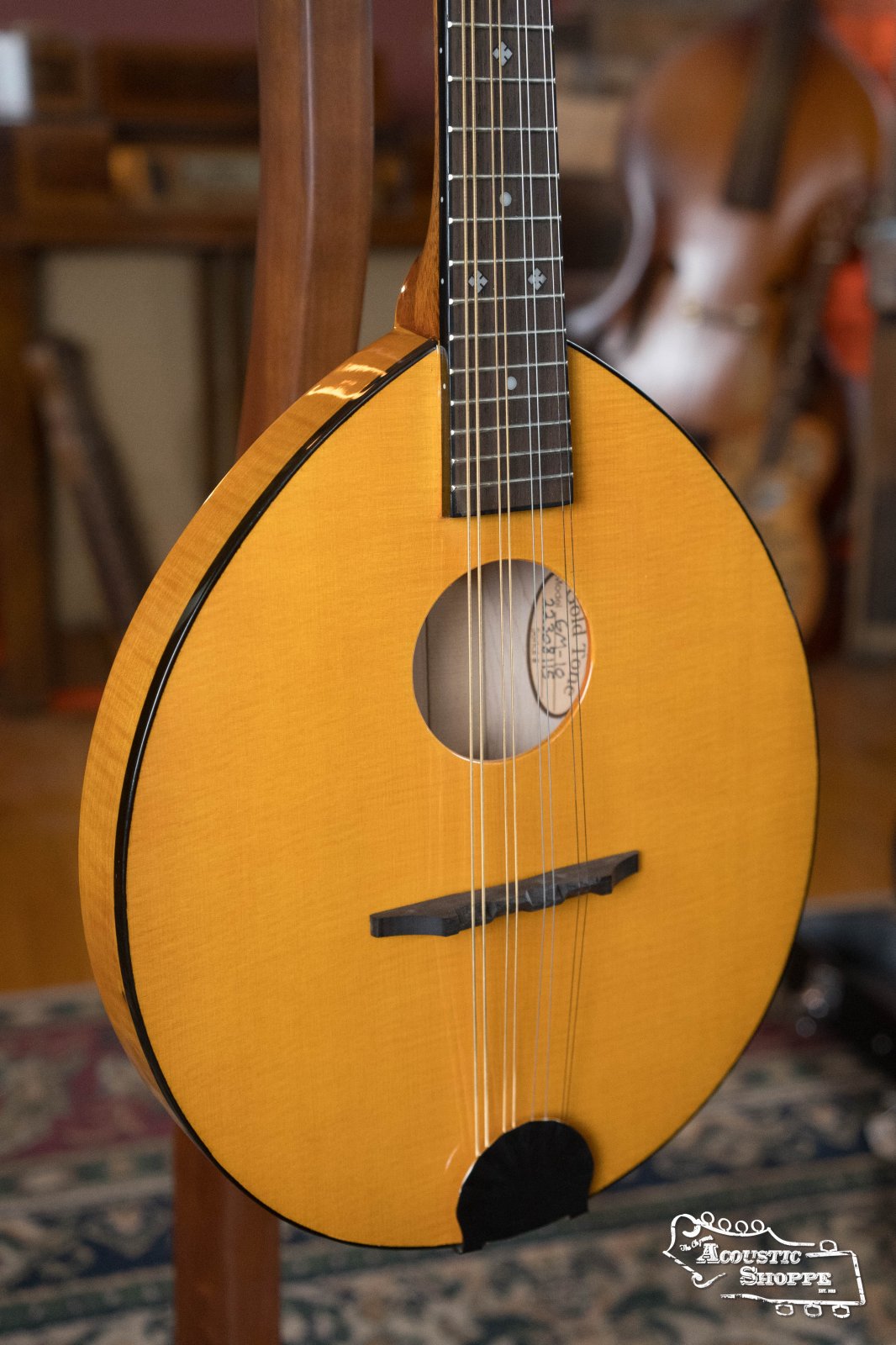 (Floor Model) Gold Tone GM-10 Frypan Mandolin #8115