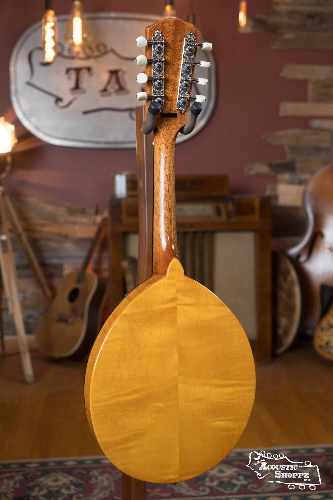 (Floor Model) Gold Tone GM-10 Frypan Mandolin #8115