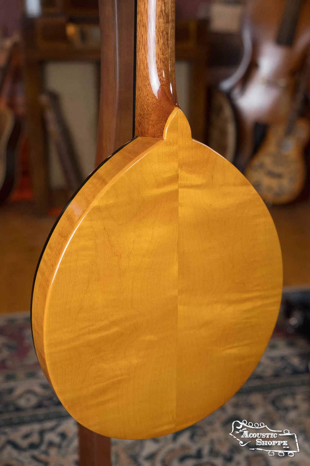 (Floor Model) Gold Tone GM-10 Frypan Mandolin #8115