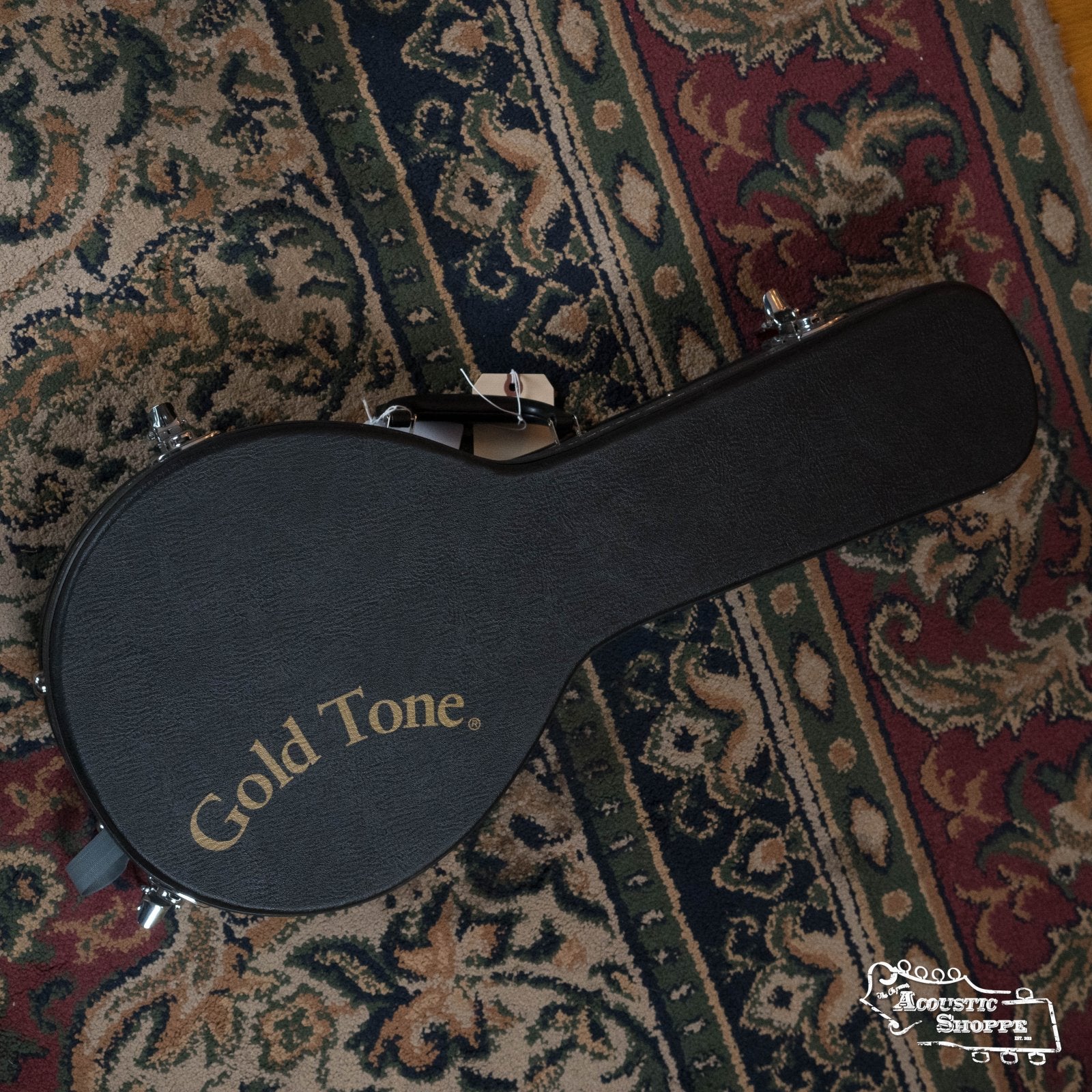 (Floor Model) Gold Tone GM-10 Frypan Mandolin #8115