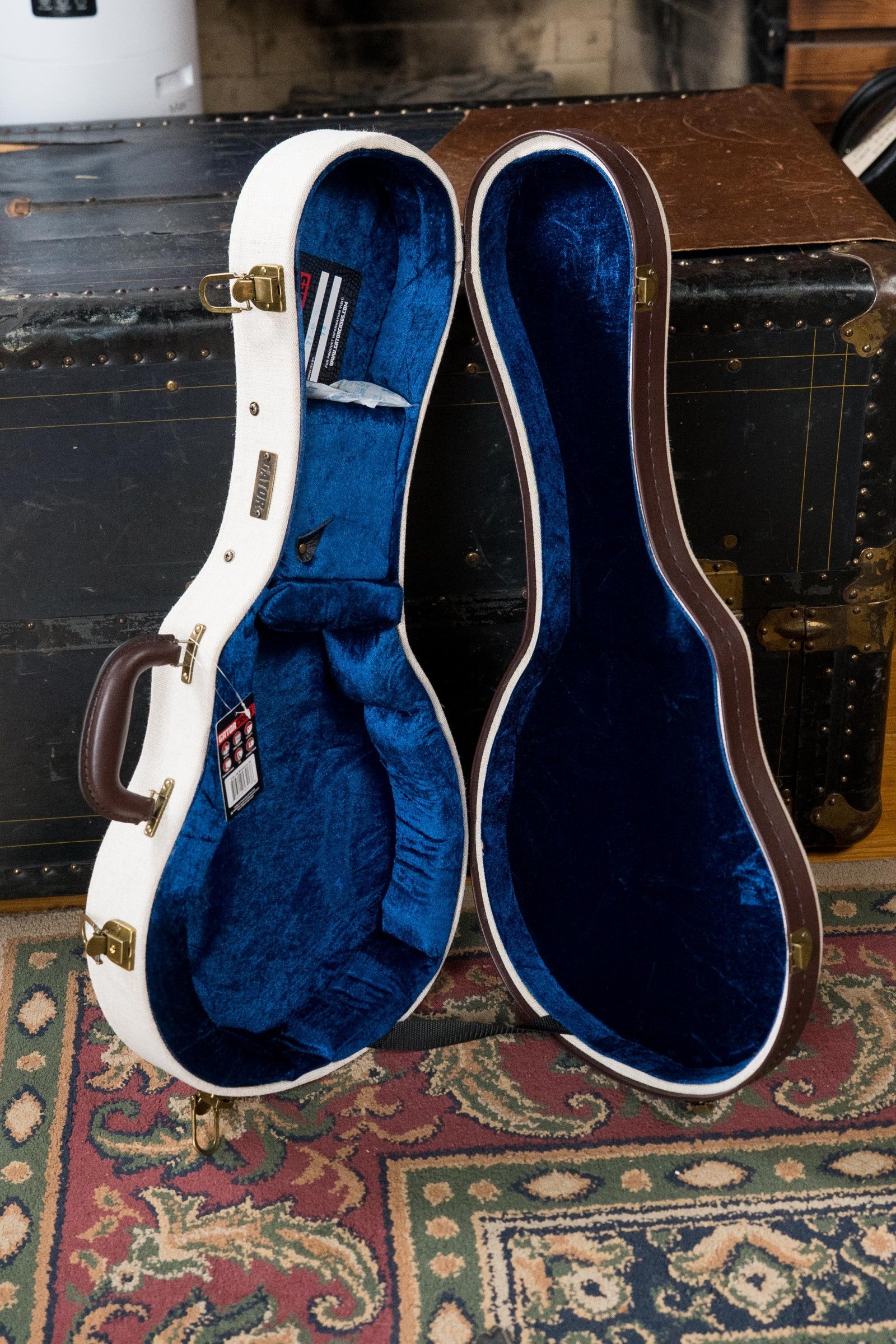 Gator Journeyman Deluxe Wood Mandolin Case