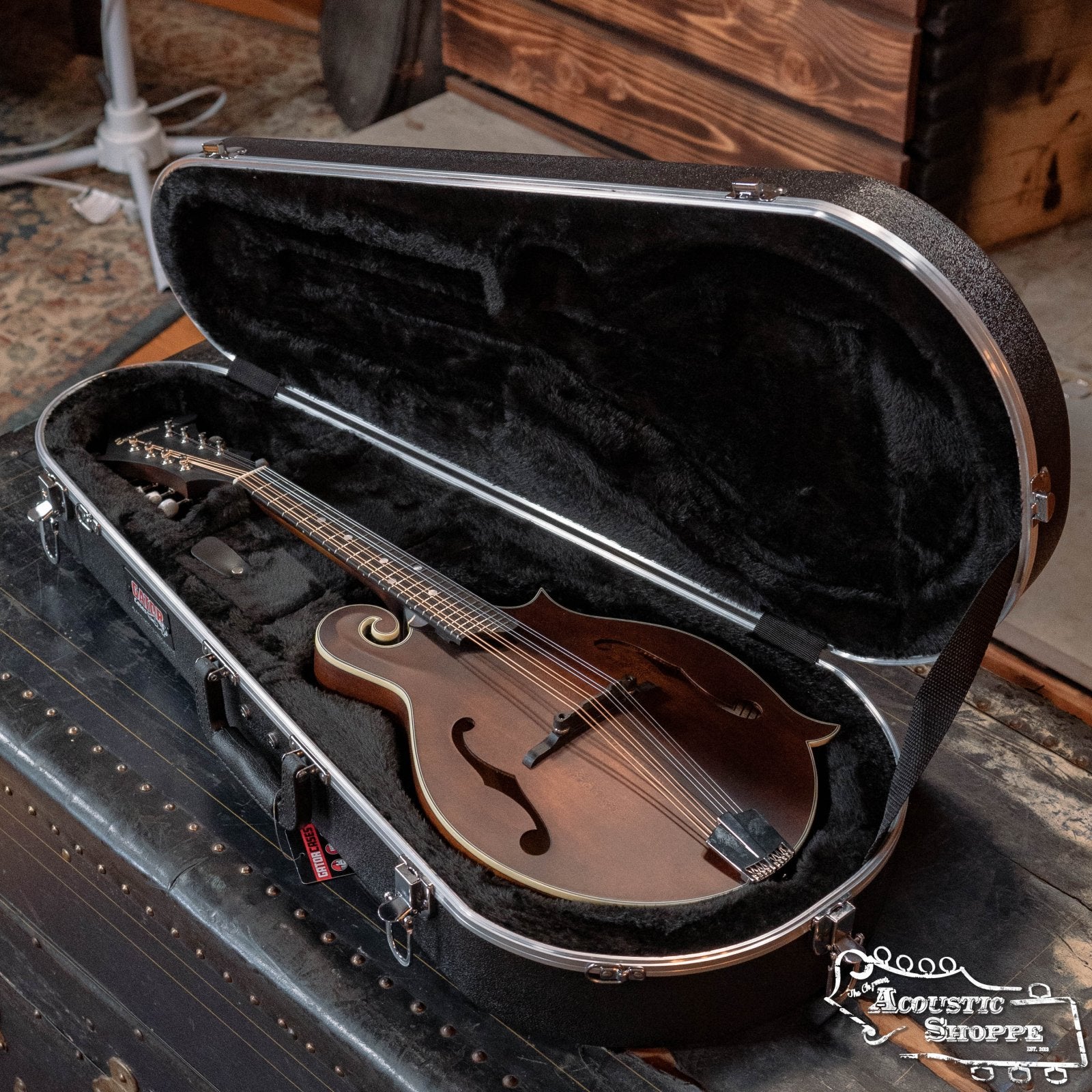Gator Classic Deluxe Molded Case for Mandolin Case (GC-MANDOLIN)