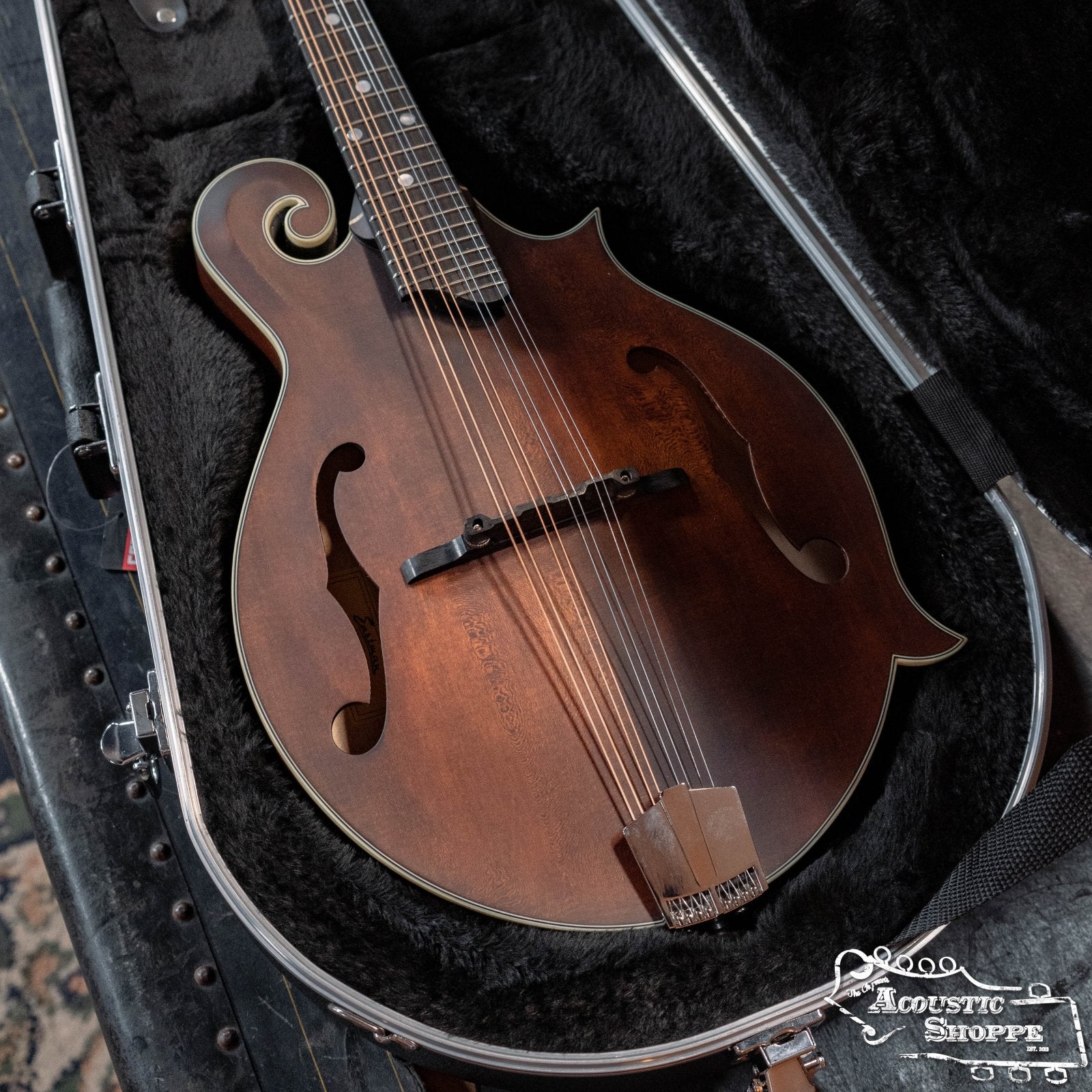 Gator Classic Deluxe Molded Case for Mandolin Case (GC-MANDOLIN)