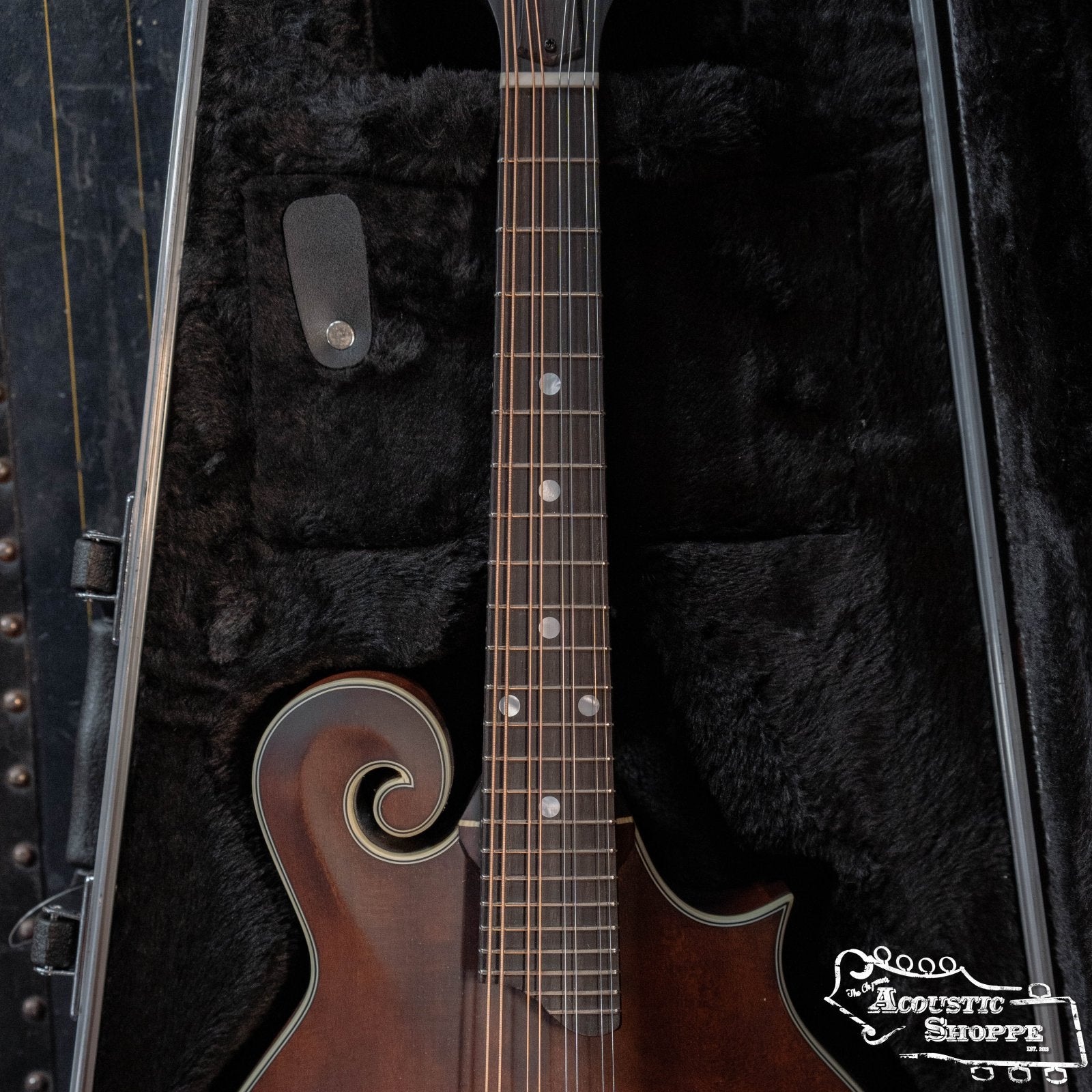 Gator Classic Deluxe Molded Case for Mandolin Case (GC-MANDOLIN)