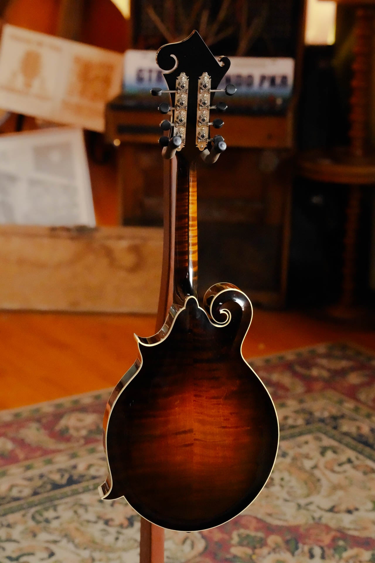 Gold Tone Grandmaster Mandolin Elite - Burst Finish #5307