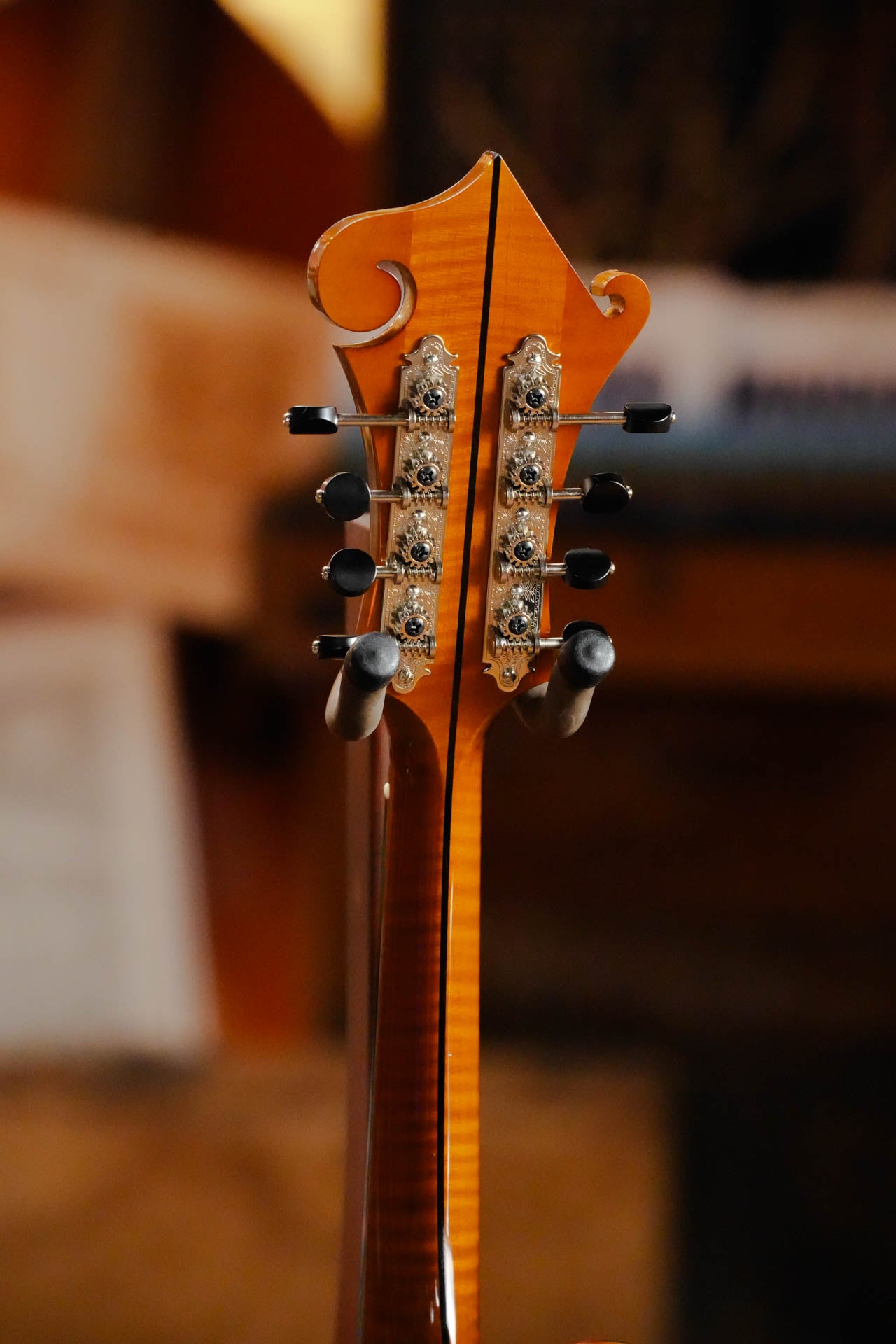 Gold Tone Grandmaster Mandolin Elite - Honey Amber Finish #5627