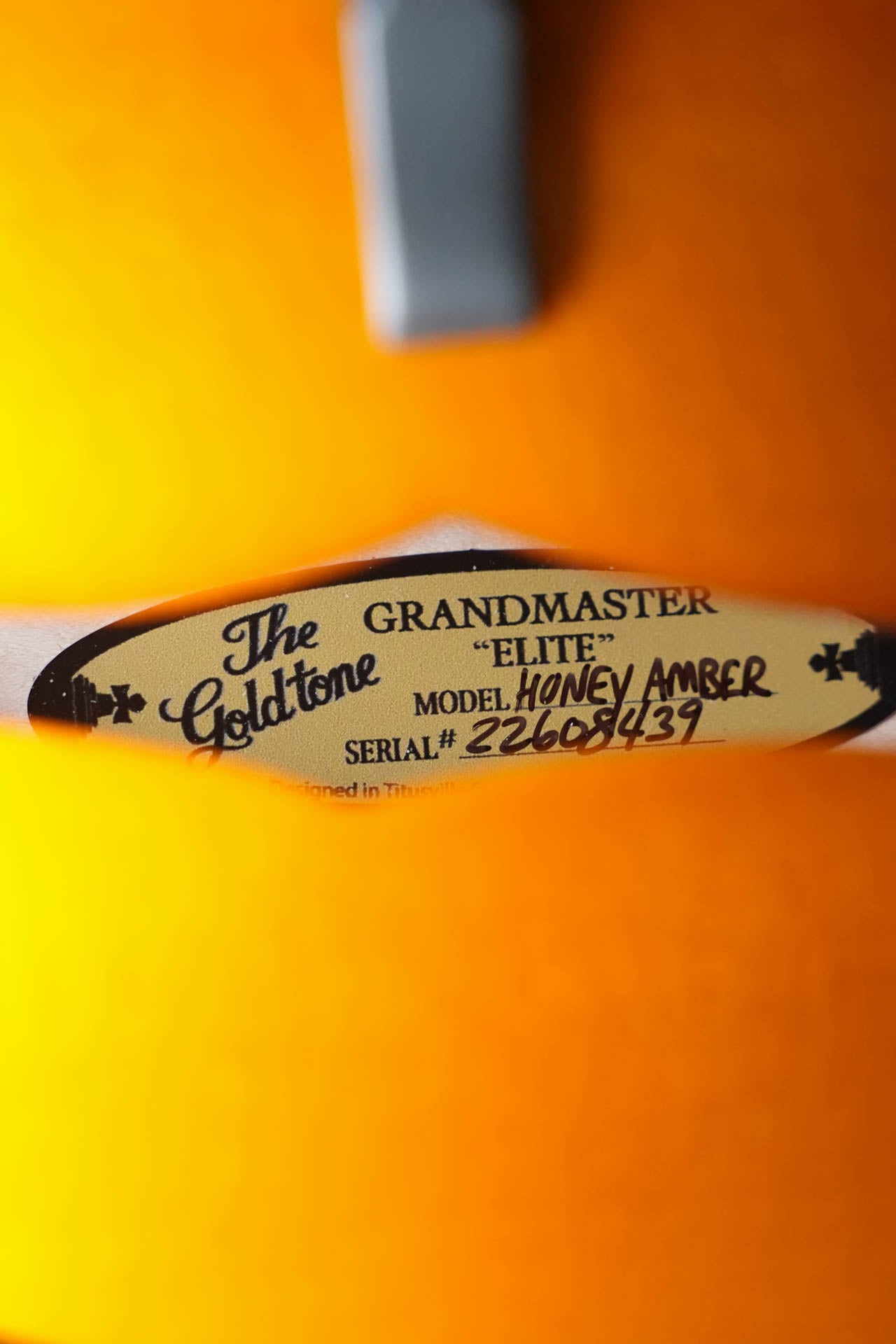 Gold Tone Grandmaster Mandolin Elite - Honey Amber Finish #8439