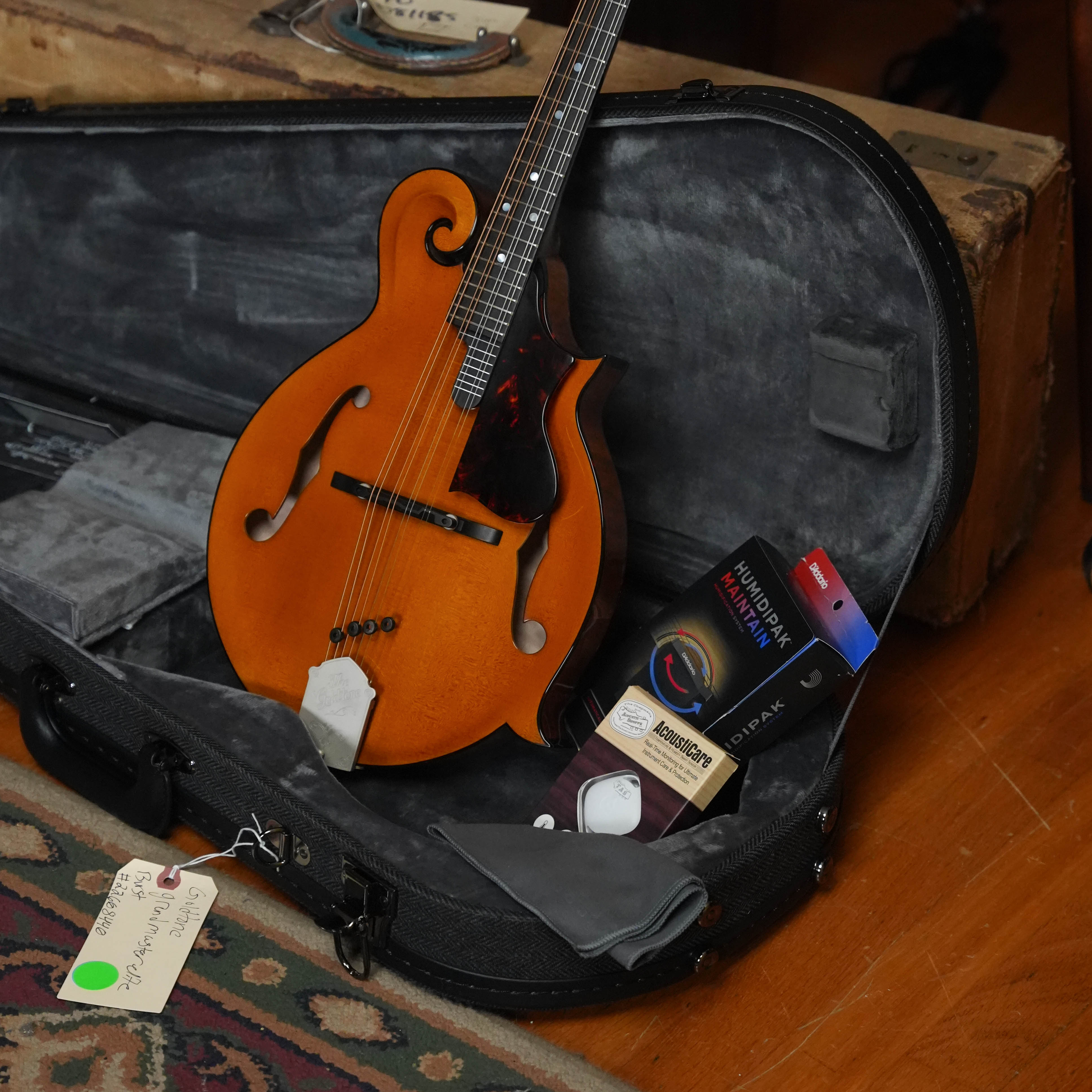 Gold Tone Grandmaster Mandolin Elite - Honey Amber Finish #8439