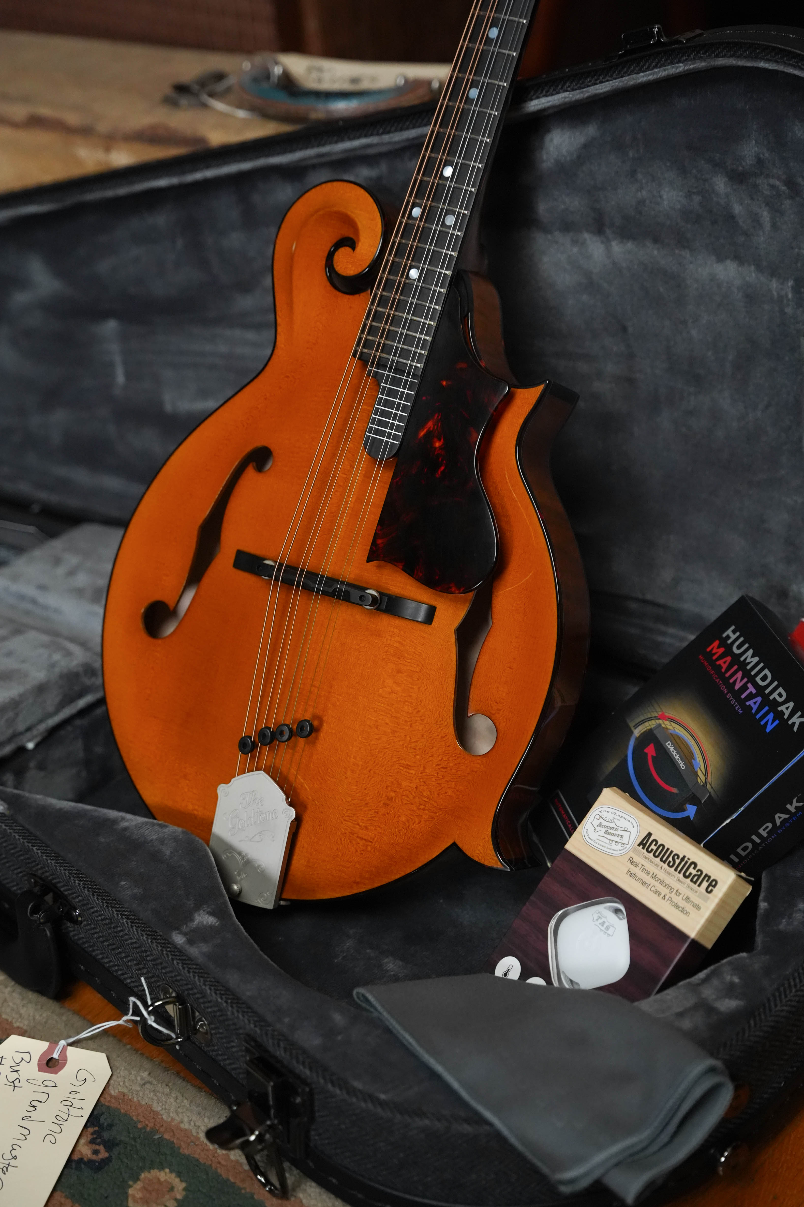 Gold Tone Grandmaster Mandolin Elite - Honey Amber Finish #8439