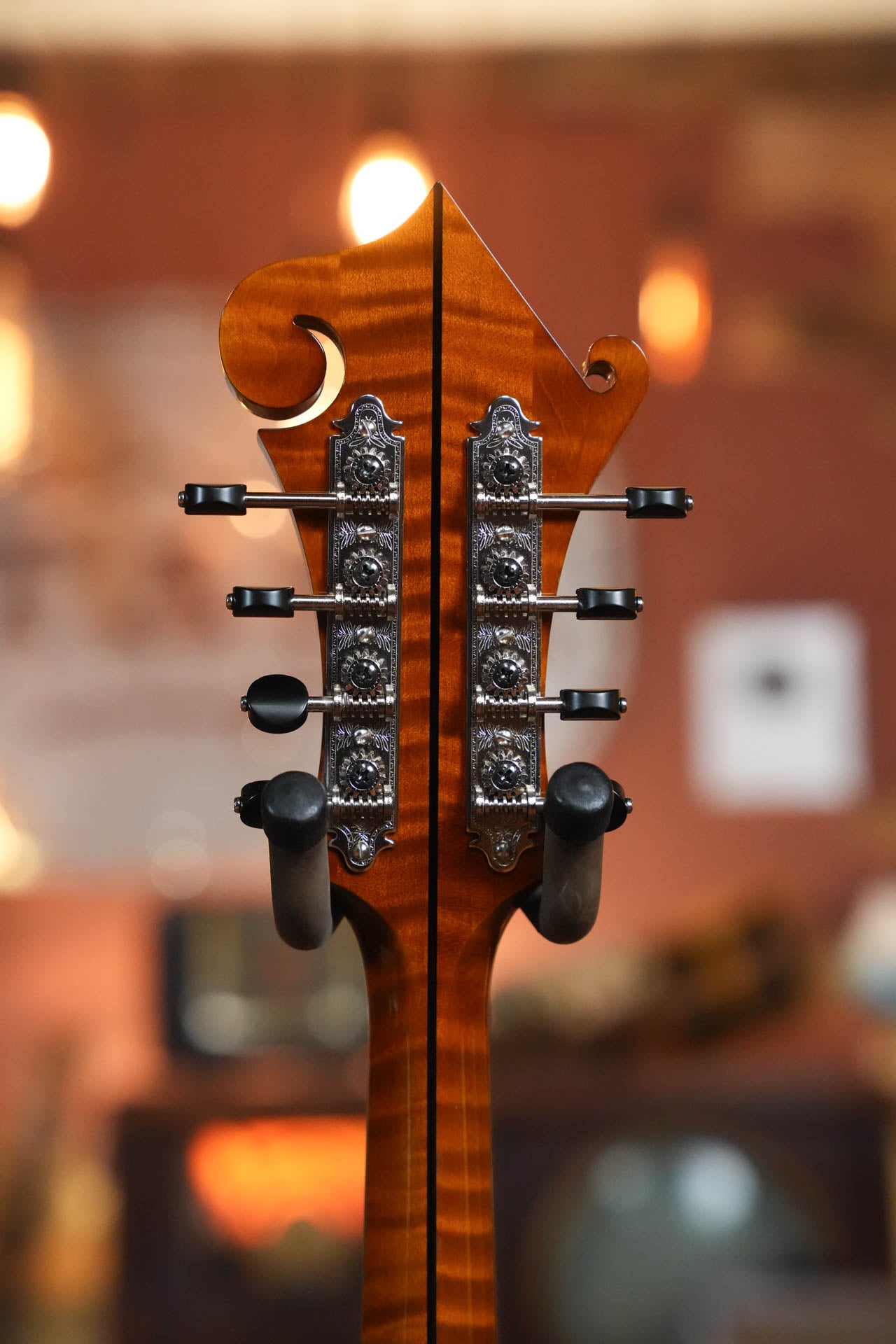 Gold Tone Grandmaster Mandolin Elite - Honey Amber Finish #8439