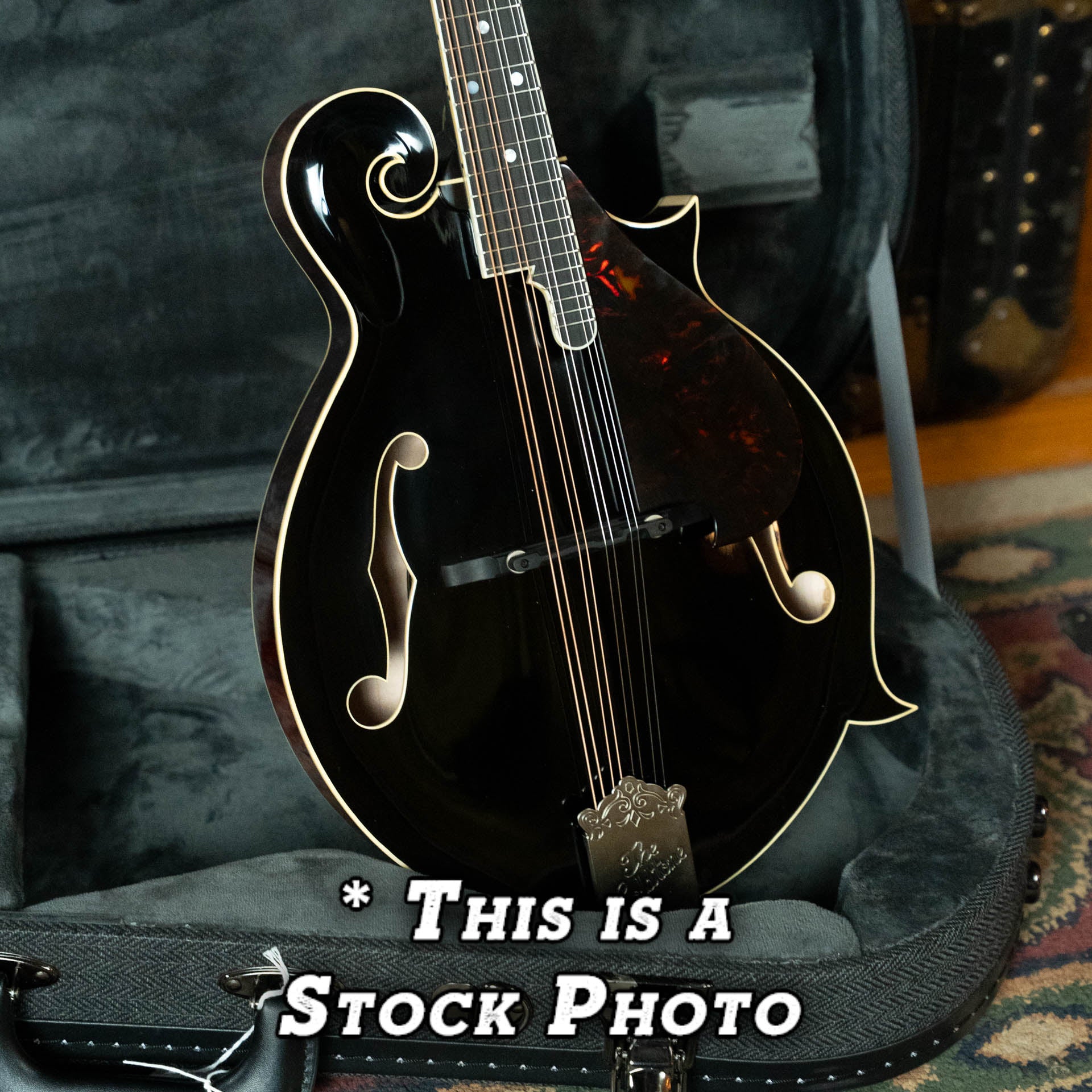 *Pre-Order Deposit ONLY* Gold Tone Grandmaster Mandolin Victorian