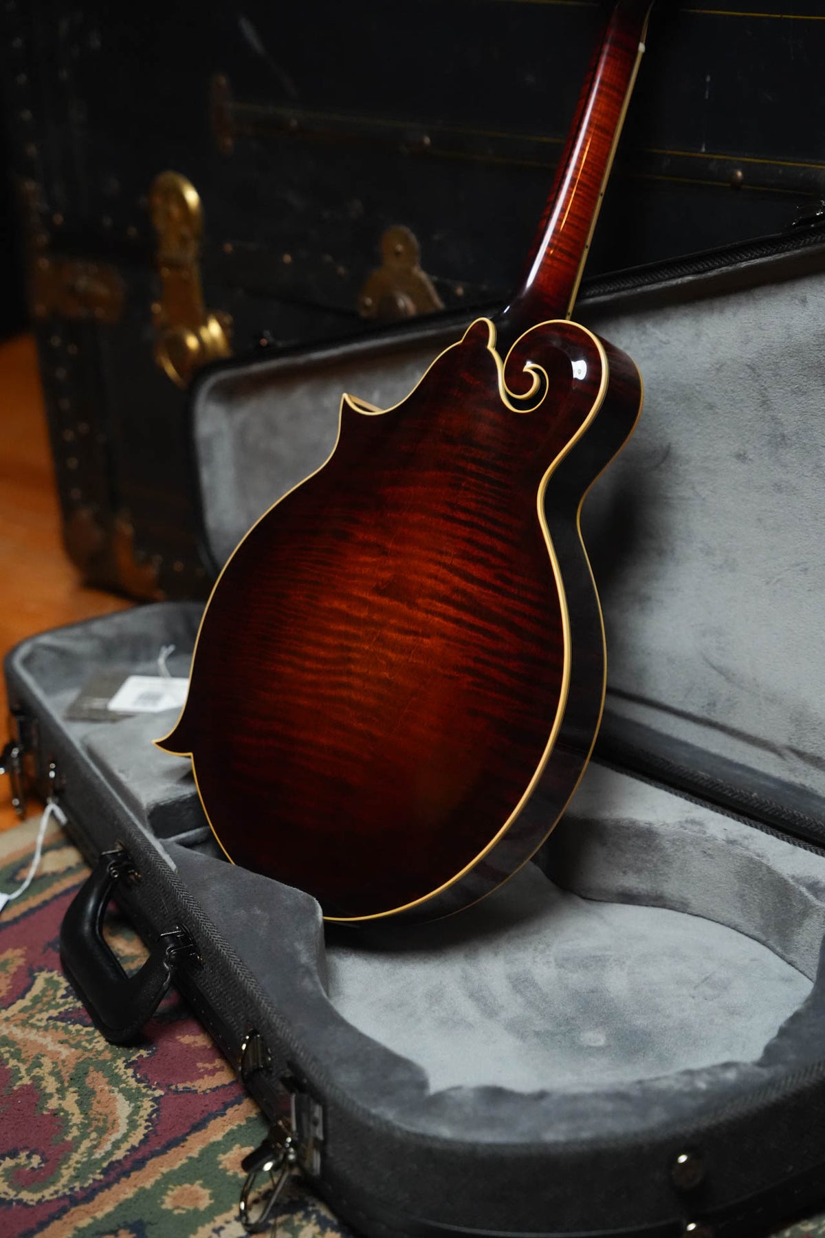 Gold Tone Grandmaster Mandolin Victorian Varnish Finish #9355