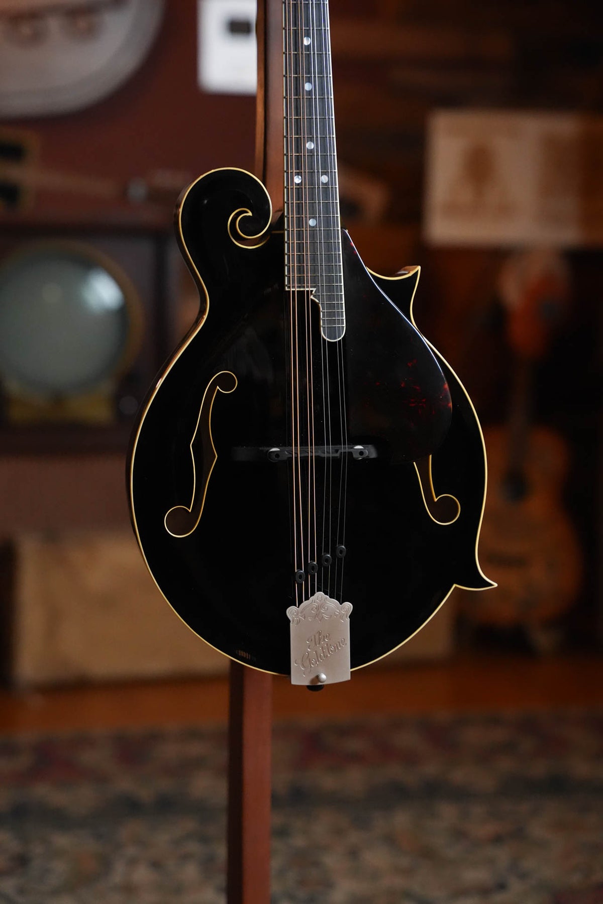 Gold Tone Grandmaster Mandolin Victorian Varnish Finish #9355