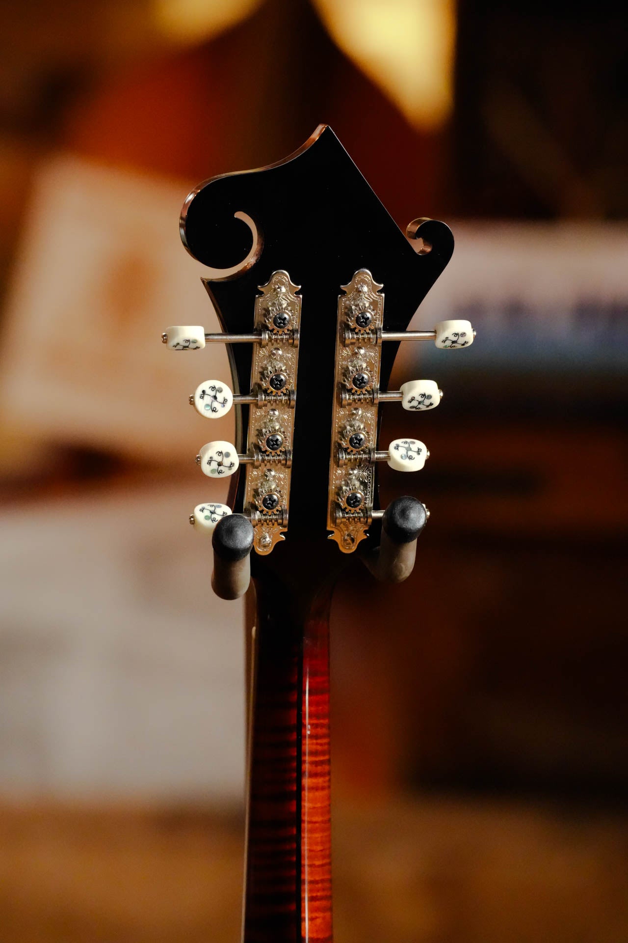 Gold Tone Grandmaster Mandolin Victorian #5279