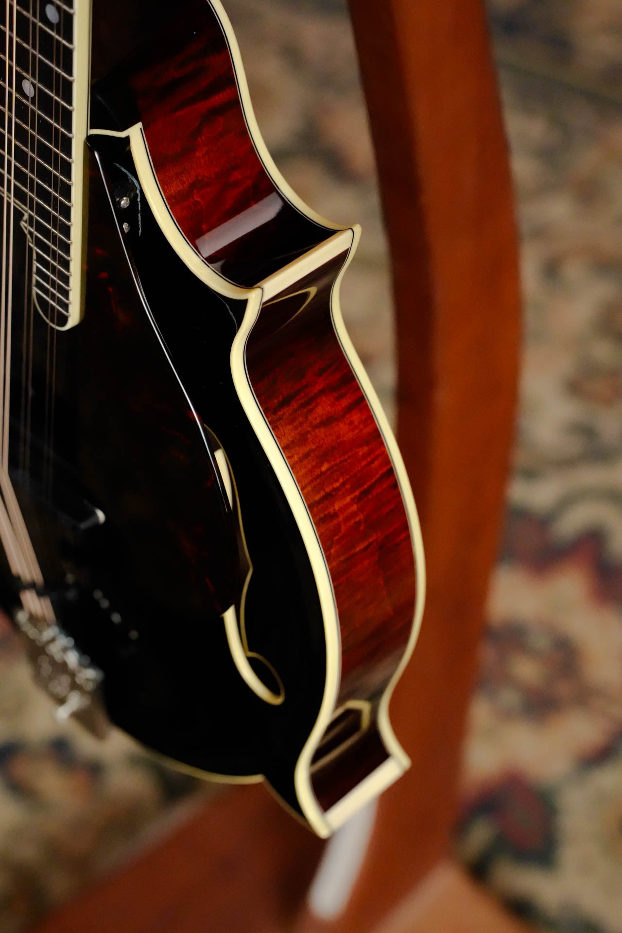 Gold Tone Grandmaster Mandolin Victorian #5279