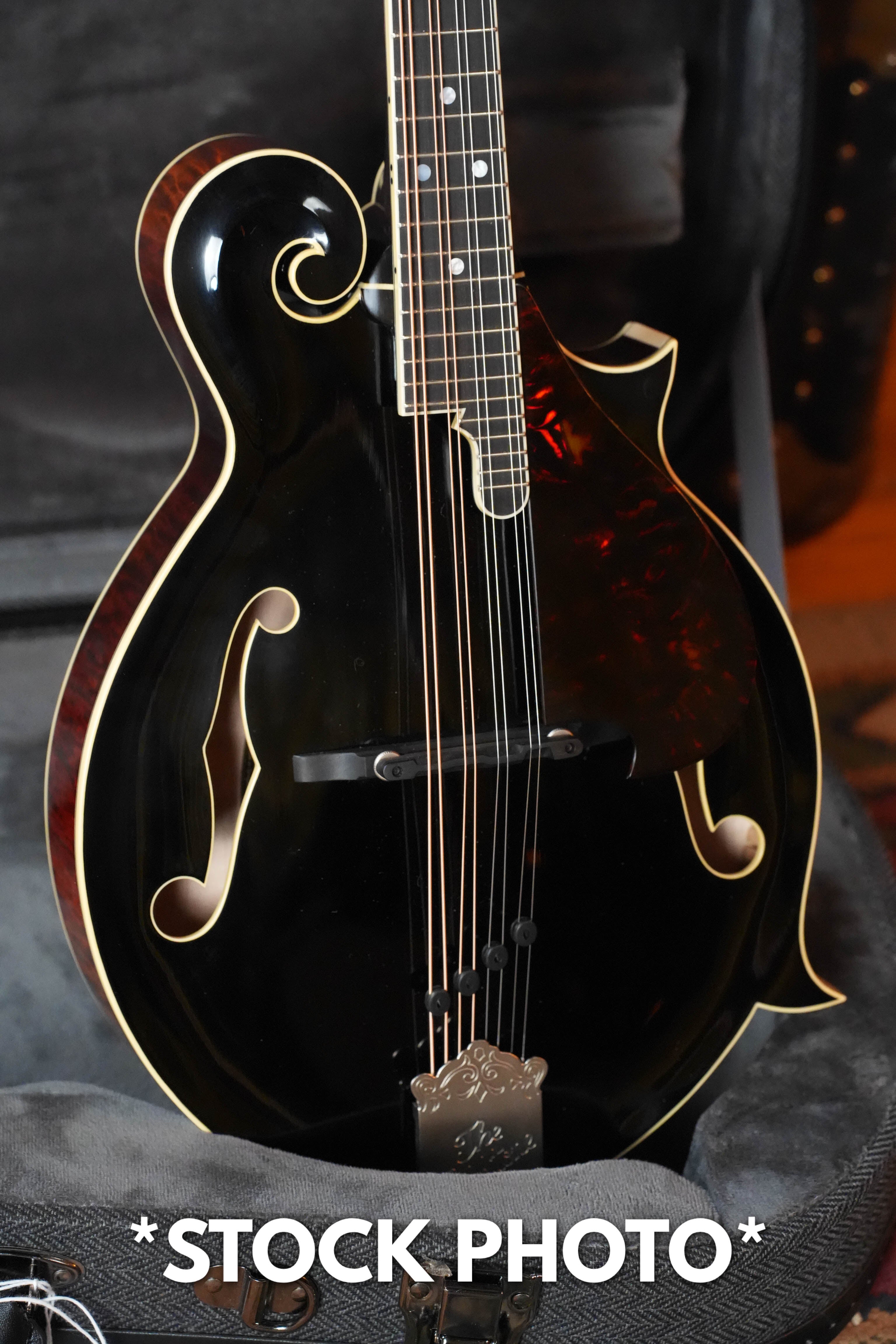 *Pre-Order Deposit ONLY* Gold Tone Grandmaster Mandolin Victorian
