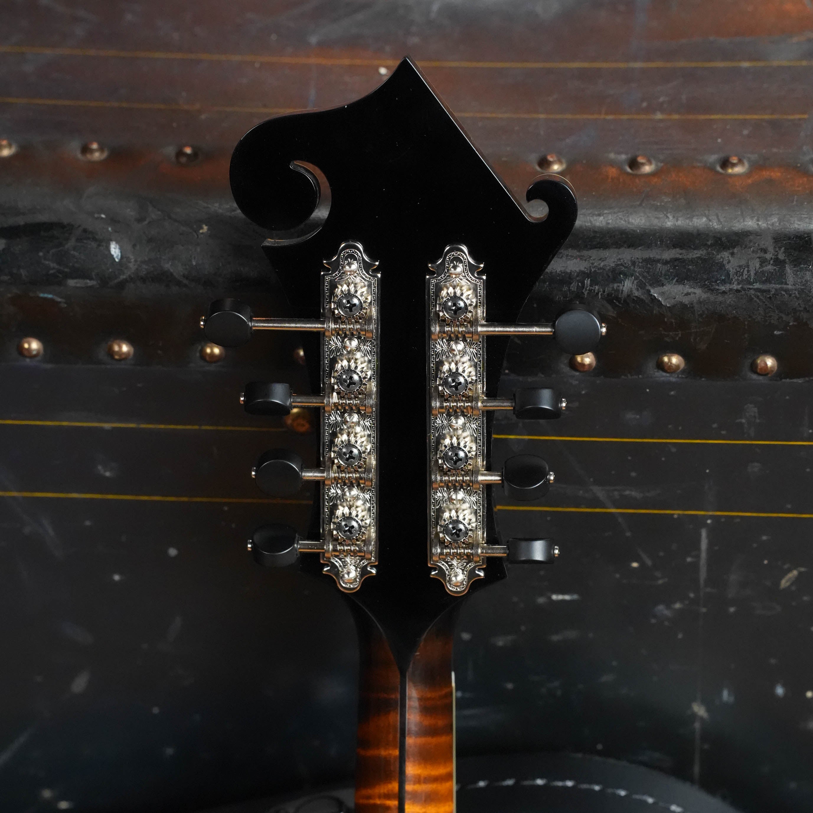 *Pre-Order Deposit ONLY* Gold Tone Grandmaster Mandolin Elite - Burst Finish