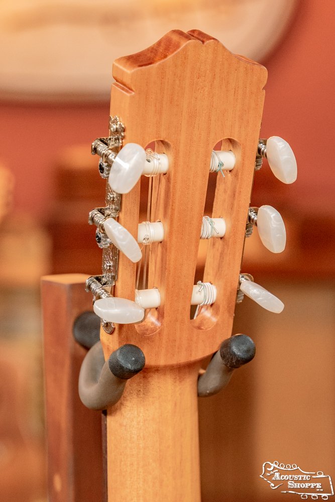 Close-up of the back of a Cordoba C3M Red Cedar/Mahogany Classical Guitar (#8691) headstock, highlighting tuning pegs and strings. The nylon string guitar by Cordoba rests on a stand with a blurred background.