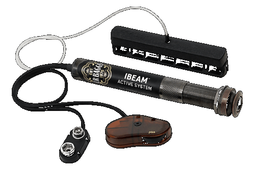L.R. Baggs iBeam Active System