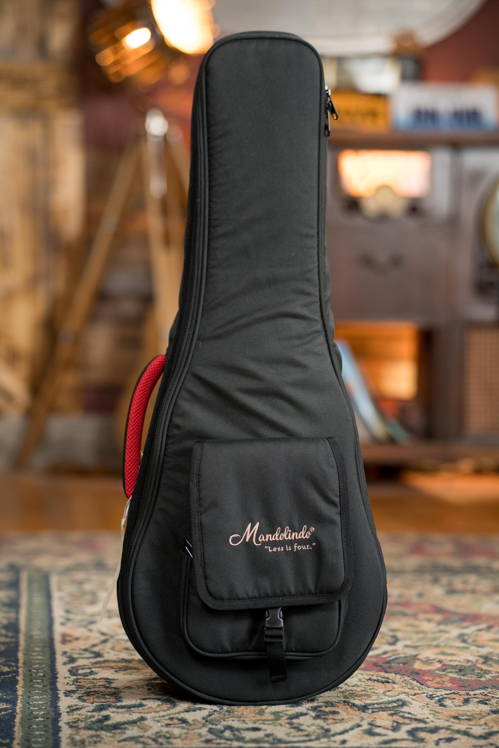 KR Strings Artist Spruce/Rosewood Acoustic Mandolindo #0001