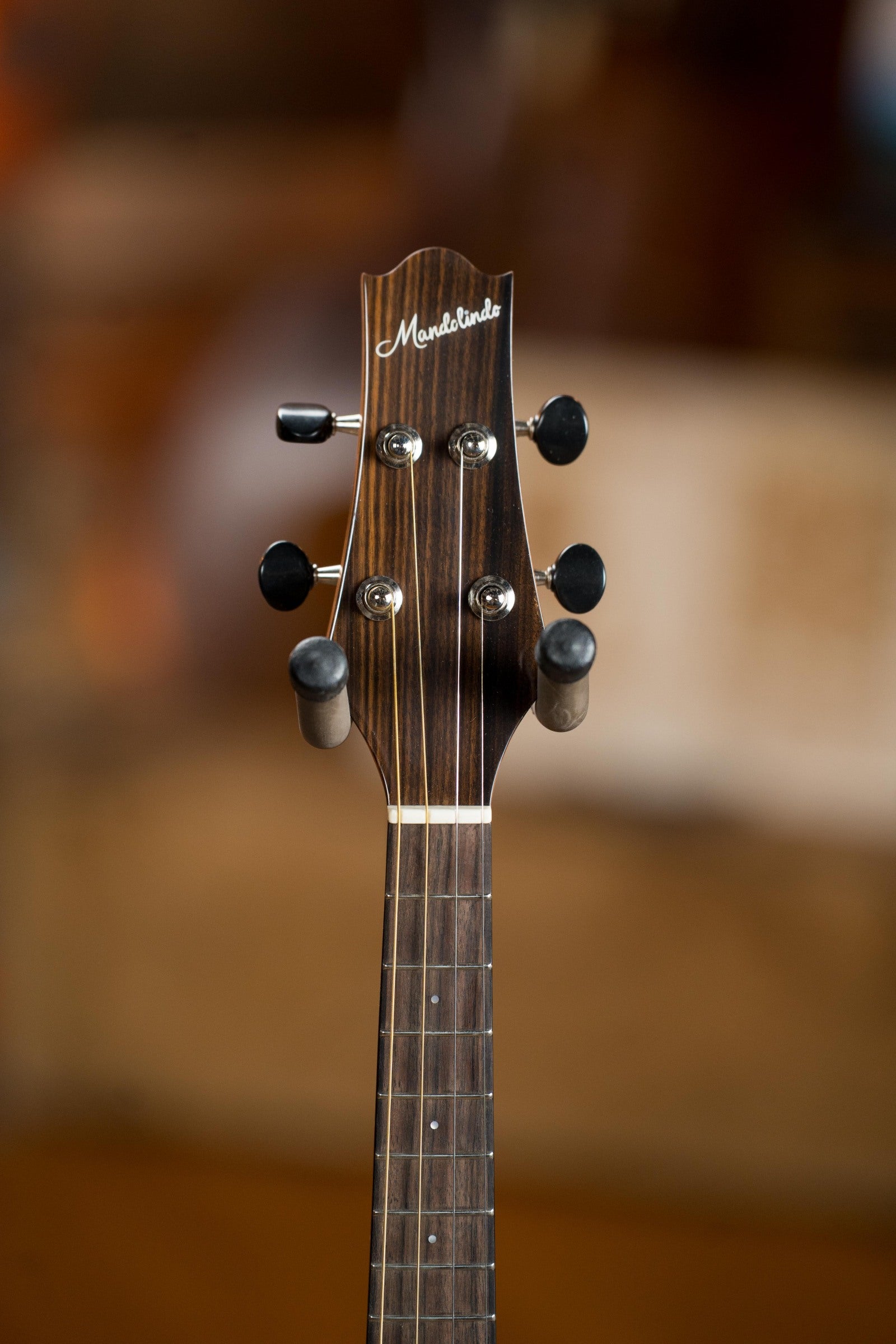 KR Strings Scholar Spruce/Mahogany Acoustic Mandolindo #0001