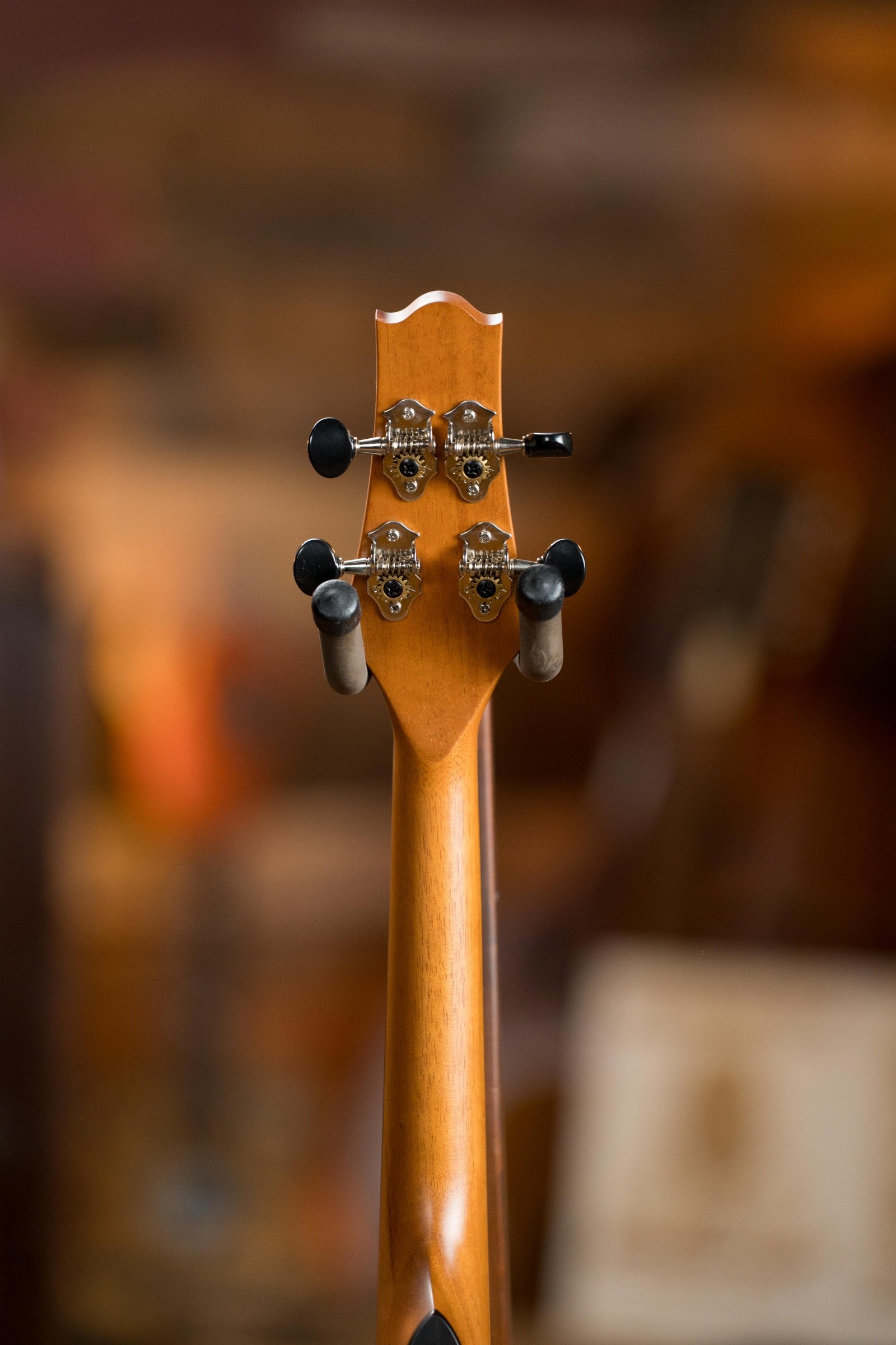 KR Strings Scholar Spruce/Mahogany Acoustic Mandolindo #0001