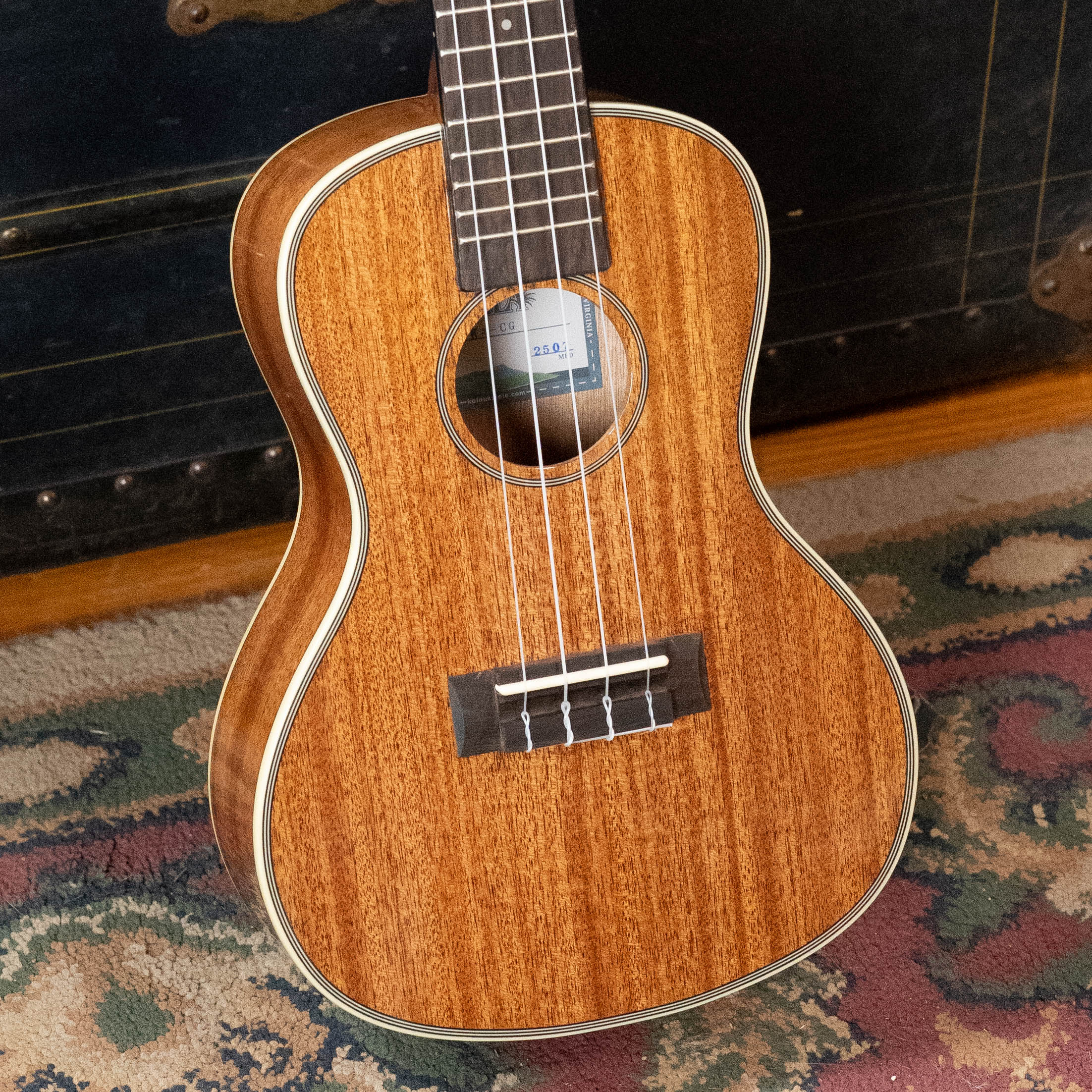 Kala Gloss Mahogany Concert Ukulele