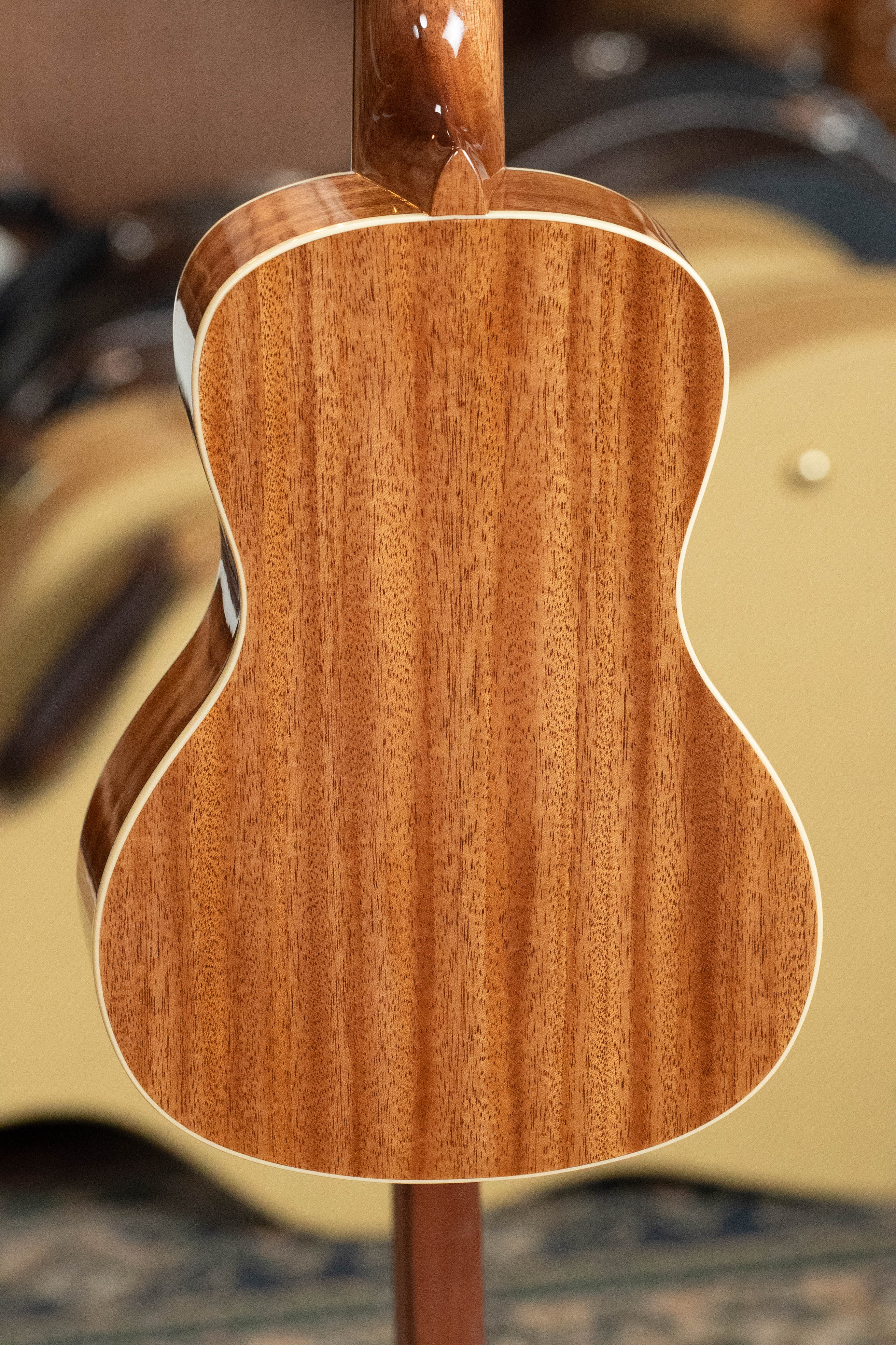 Kala Gloss Mahogany Concert Ukulele