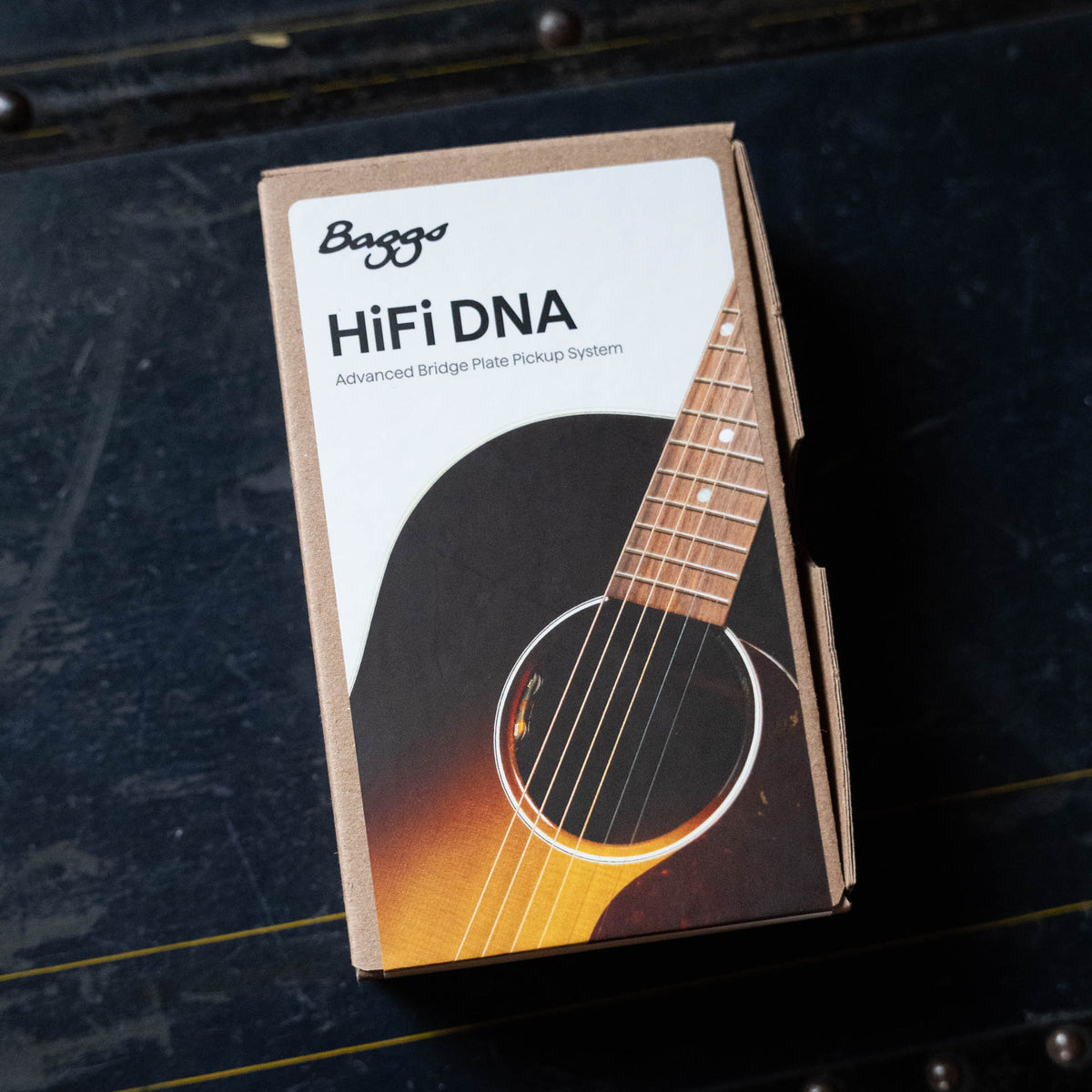 L.R. Baggs HiFi DNA Advanced Bridge Plate Pickup