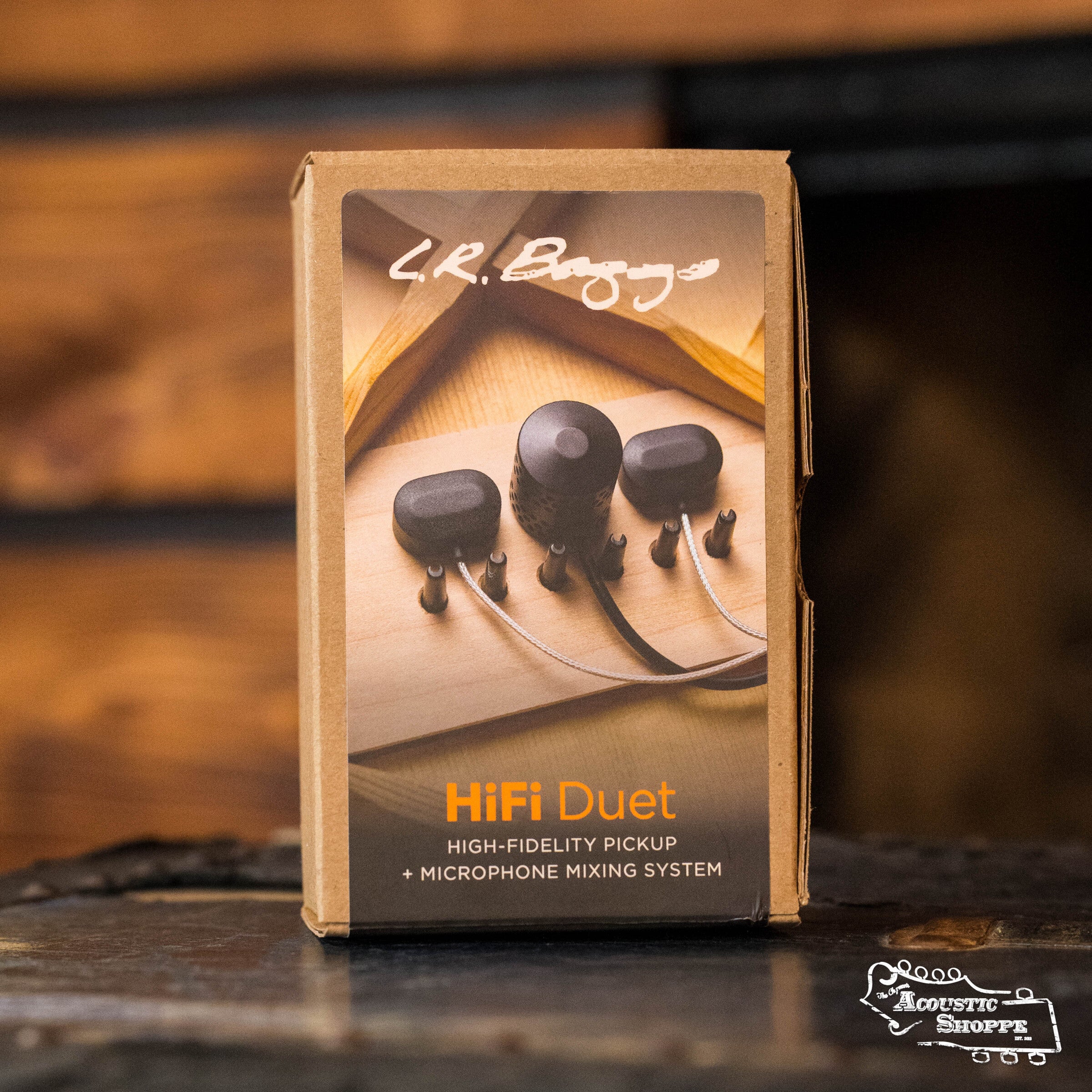 L.R. Baggs HiFi Duet