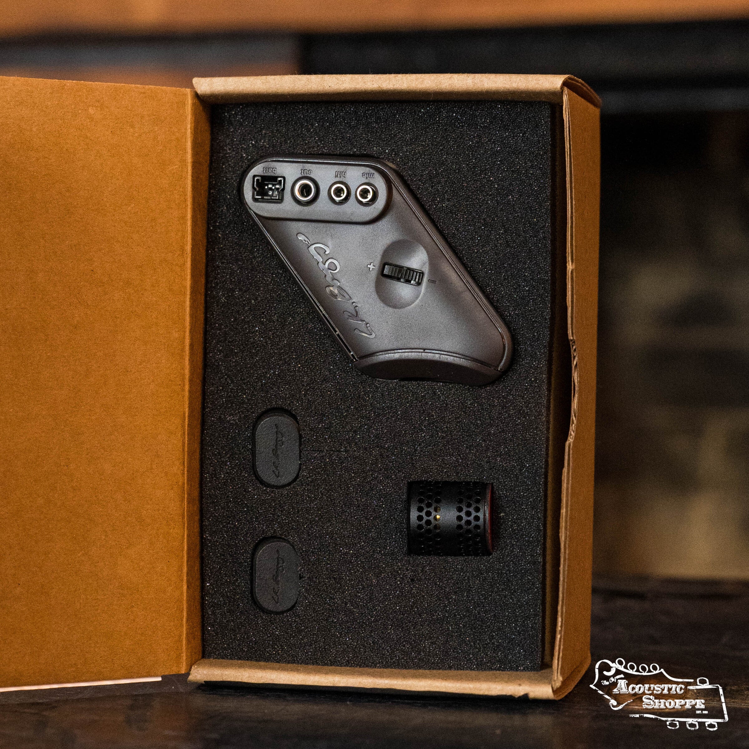 L.R. Baggs HiFi Duet