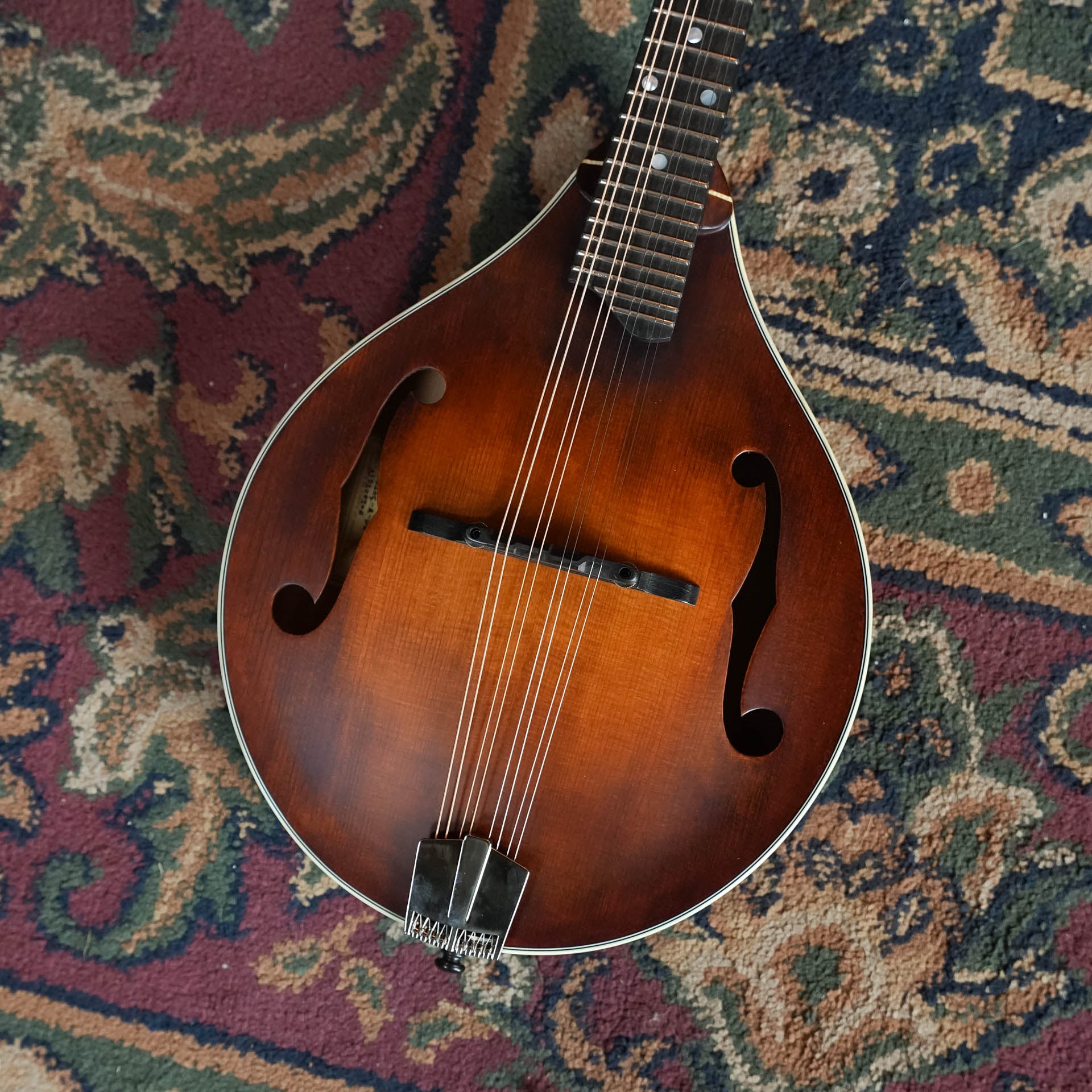 *New 2026 Model* Eastman MD305 Wide Nut Adirondack/Maple A-Style Mandolin #6306