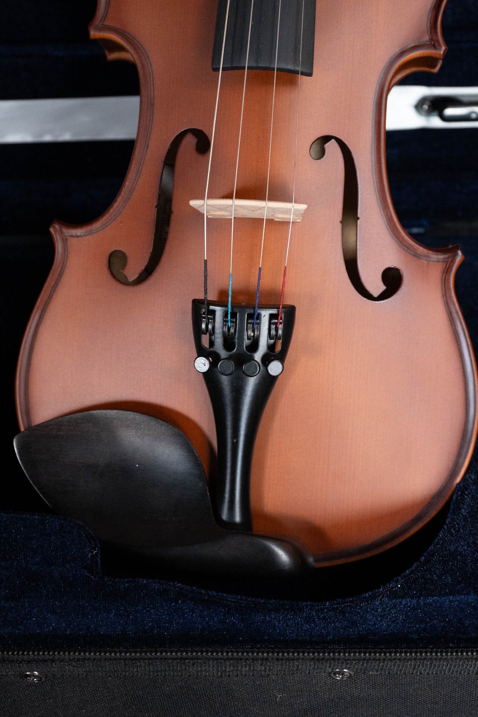 Palatino VN-500 Violin Kit 1/2 Size w/Shoulder Rest #3801