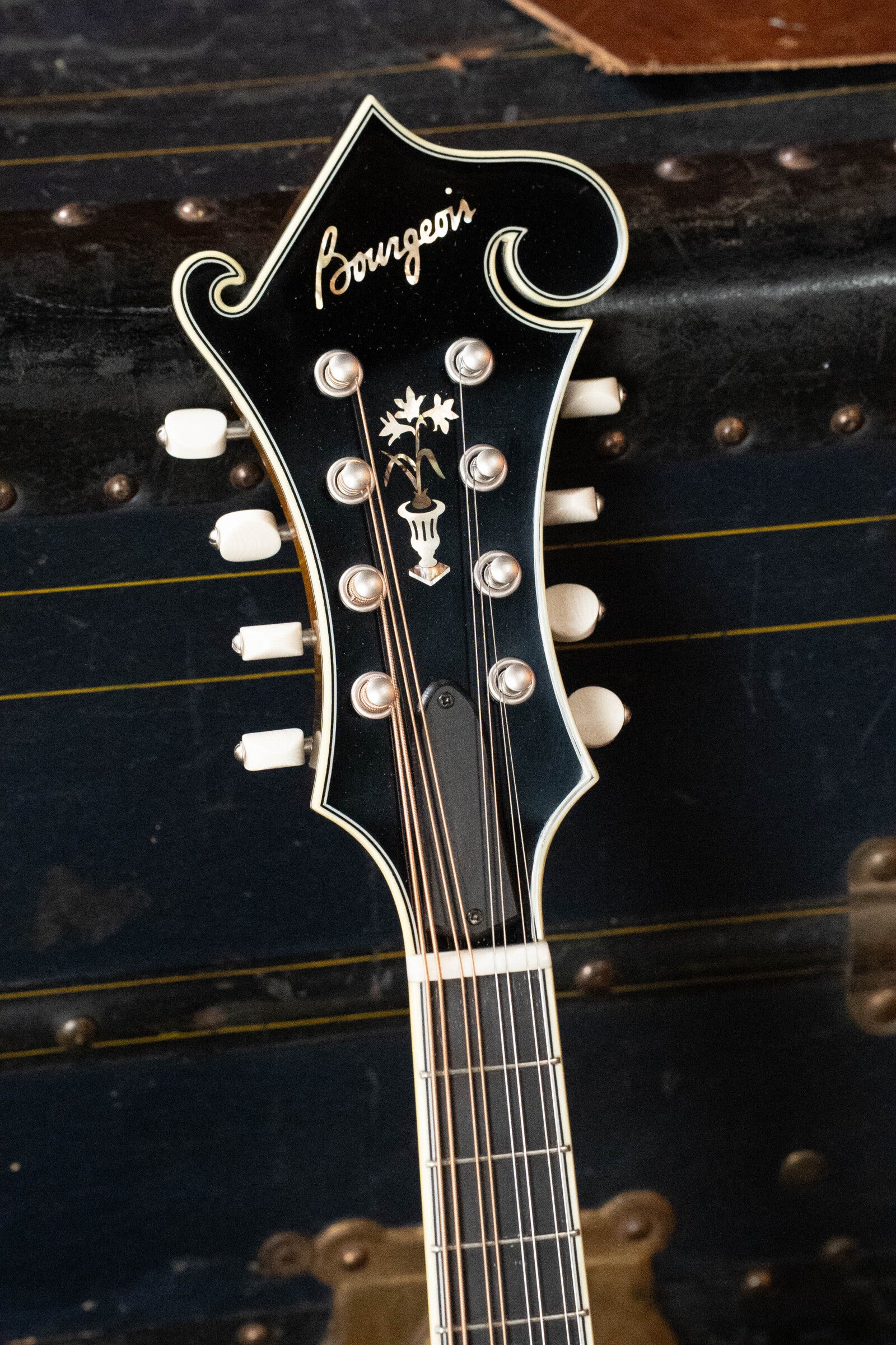 Close-up of a Bourgeois *Pre-Order 25% Deposit ONLY* M5-F-SB/M5-A-SB Aged-Tone Adirondack/Maple Sunburst Mandolin headstock with white tuning pegs, floral inlay, and logo, set against a dark vintage trunk.