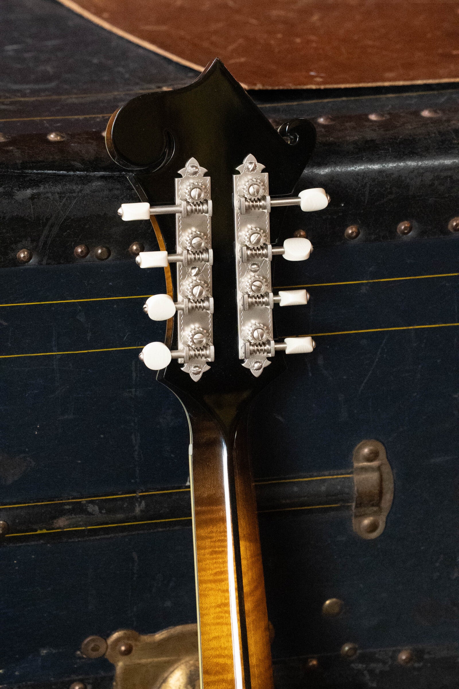 The back of a Bourgeois *Pre-Order 25% Deposit ONLY* M5-F-SB/M5-A-SB F-Style or A-Style Mandolin shows metal tuners with white knobs, set against a vintage dark blue trunk with brass hardware and rivets.