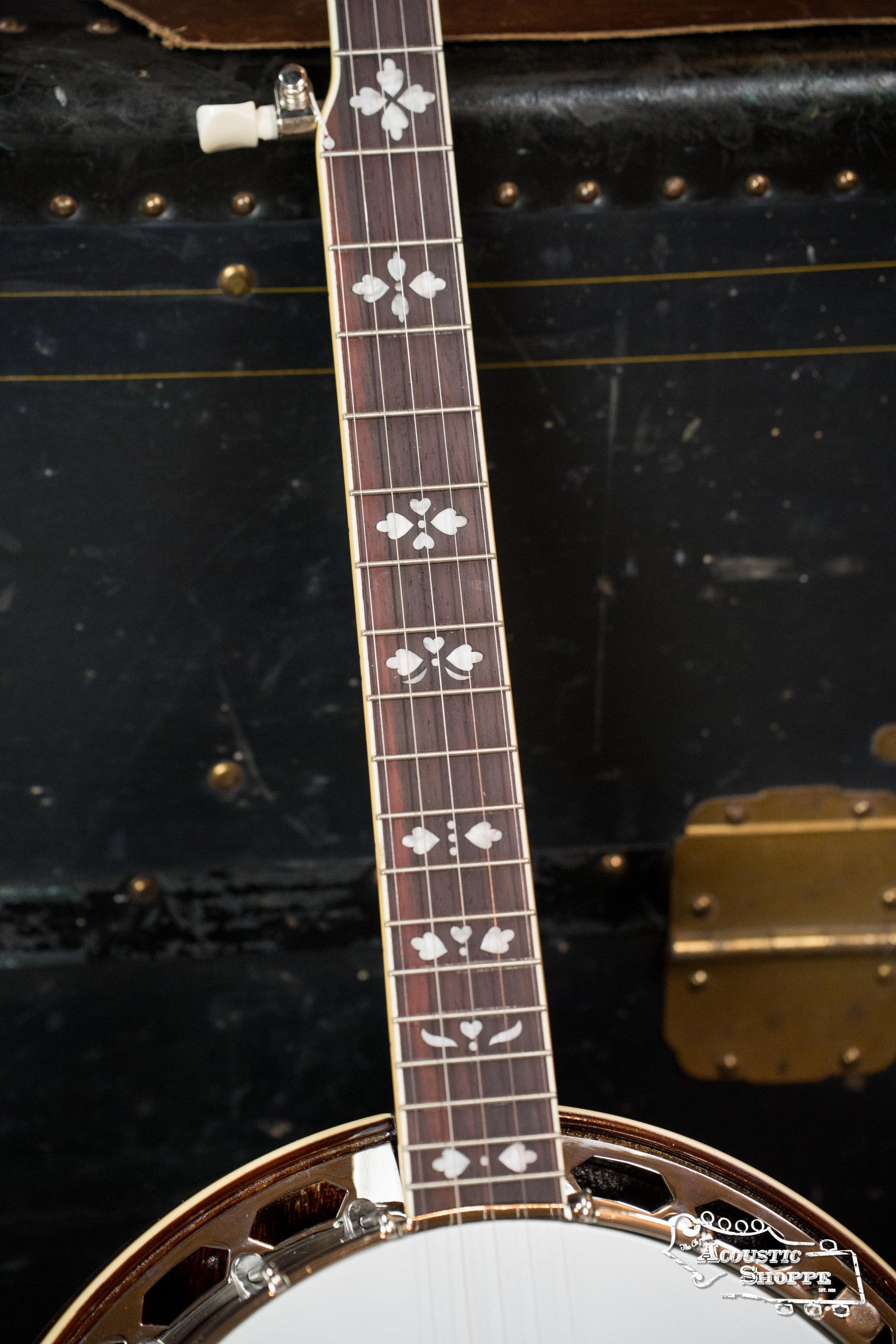 Recording King RK-R20 Songster Resonator Banjo #0255