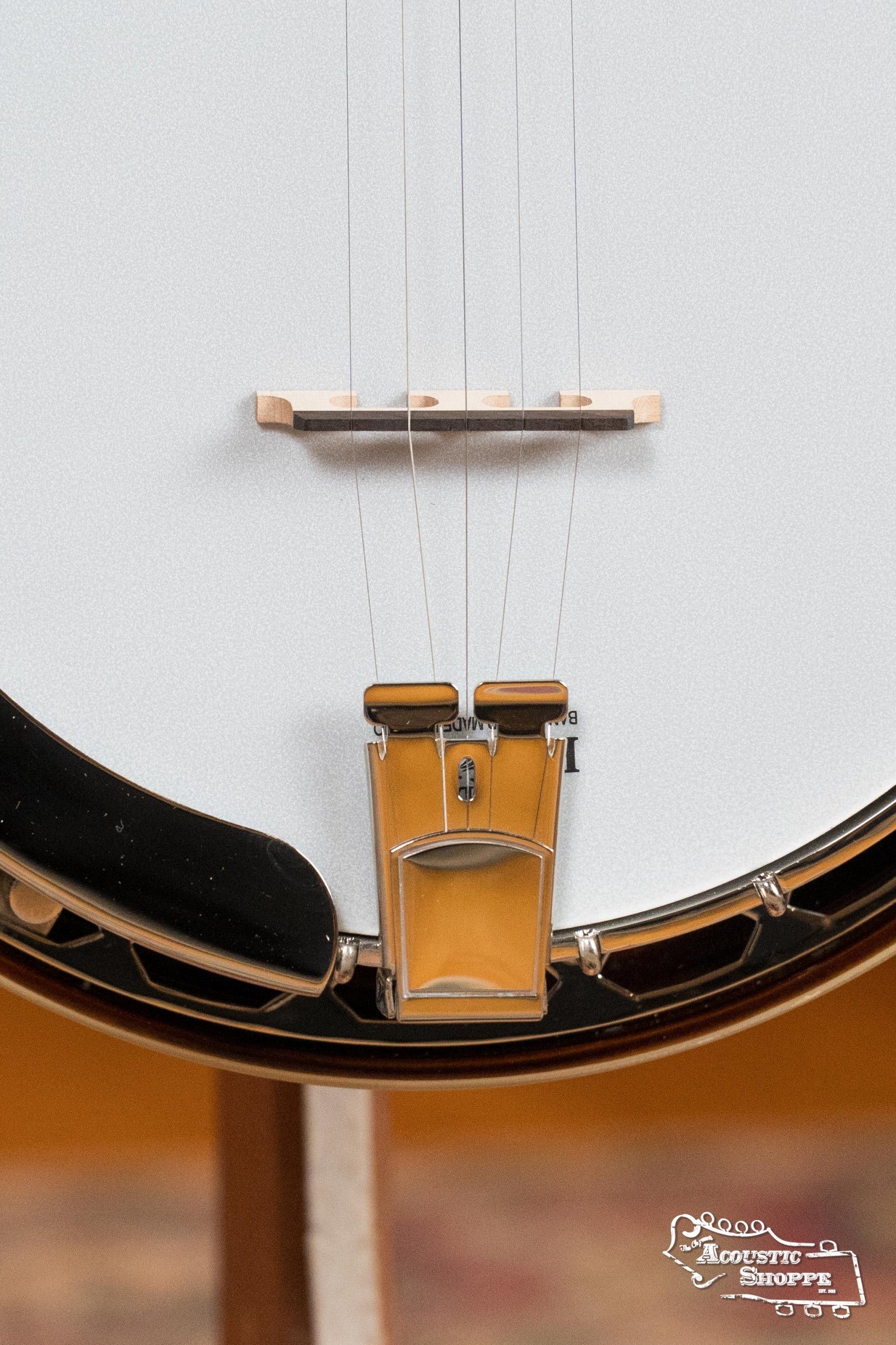 Recording King RK-R20 Songster Resonator Banjo #0647