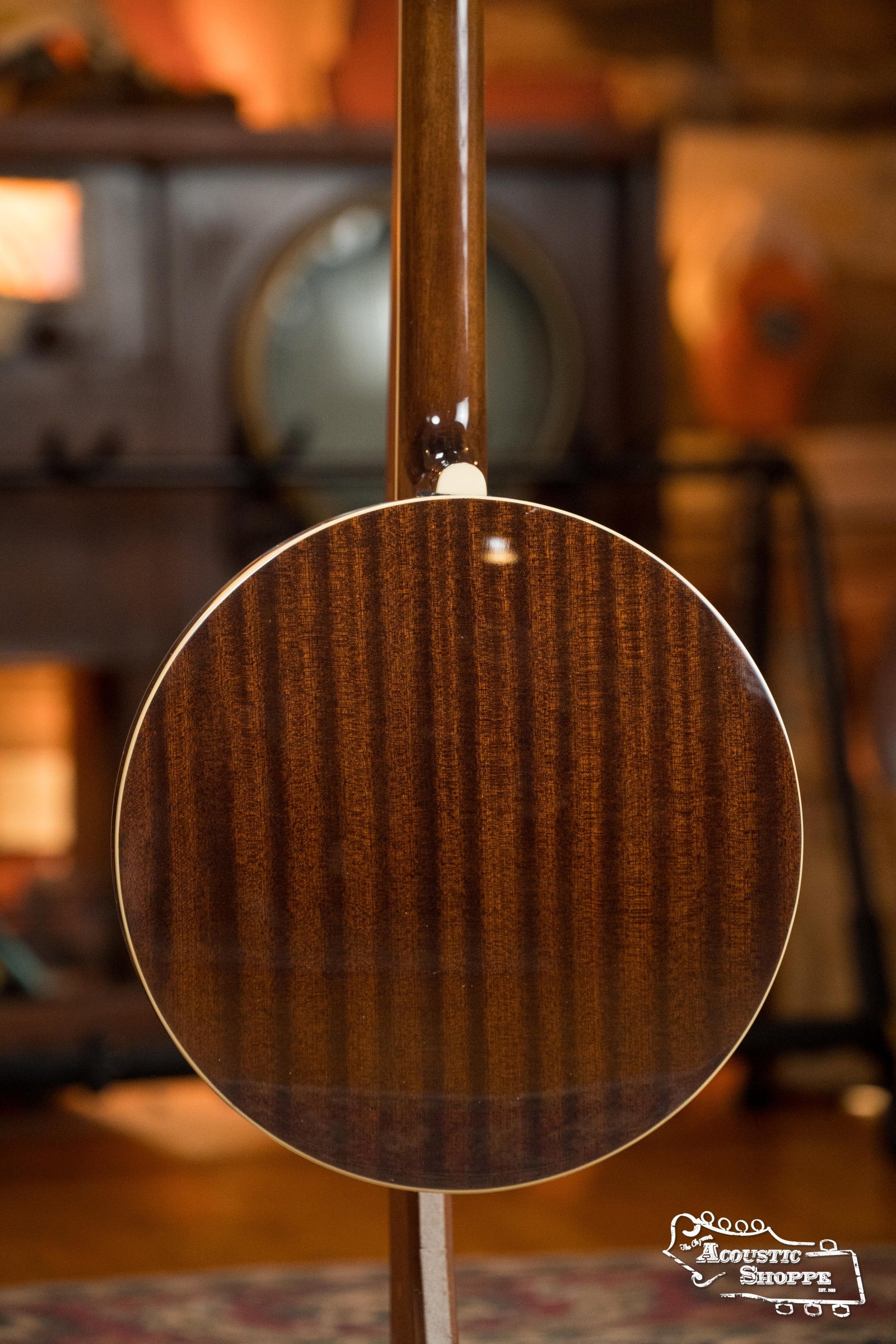 Recording King RK-R20 Songster Resonator Banjo #0647