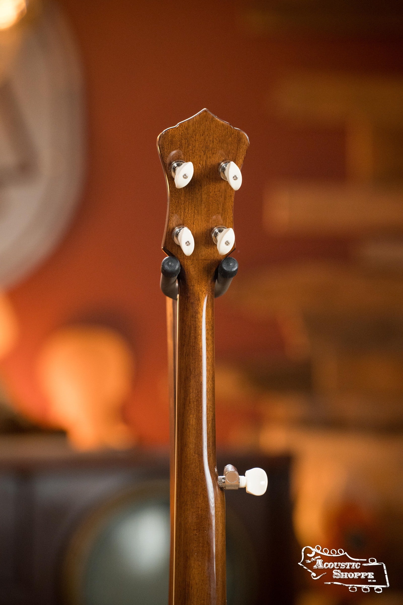 Recording King RK-R20 Songster Resonator Banjo #0647