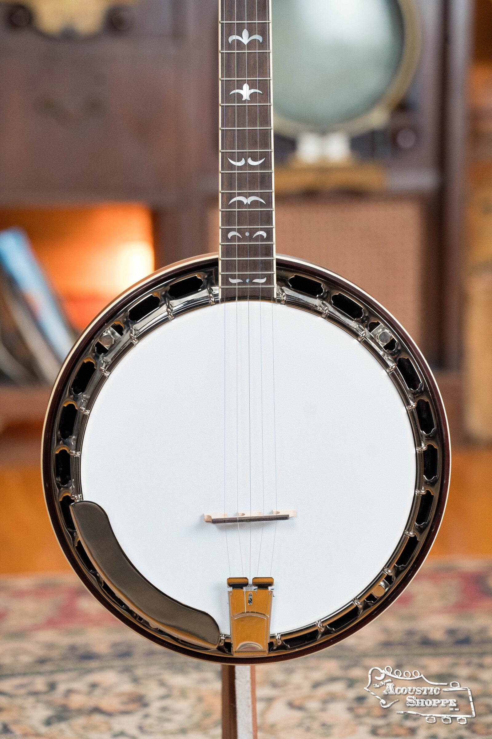 Recording King RK-R35-BR Madison Resonator Banjo with Tone Ring #0512