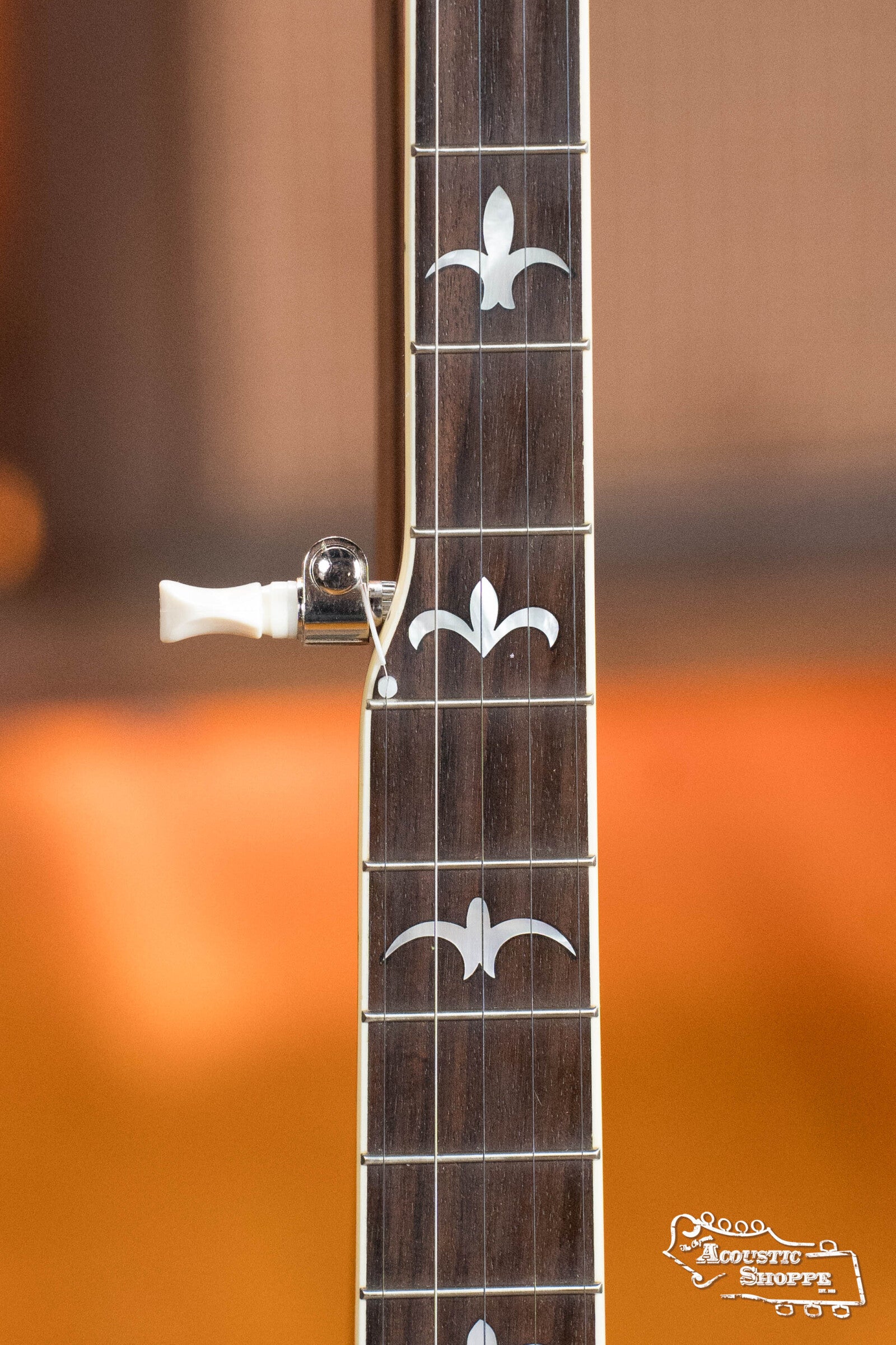 Recording King RK-R35-BR Madison Resonator Banjo with Tone Ring #0512