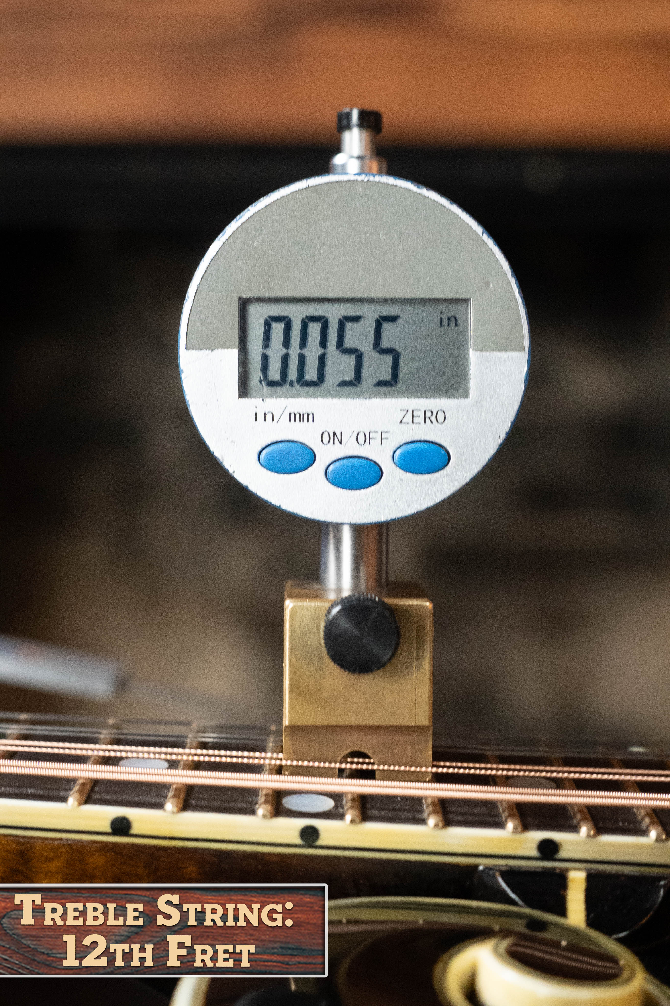 Rychlik Aged Adirondack/Sugar Maple Sunburst F-Style Mandolin #006